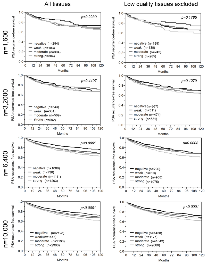 Microarrays 03 00137 g006 1024