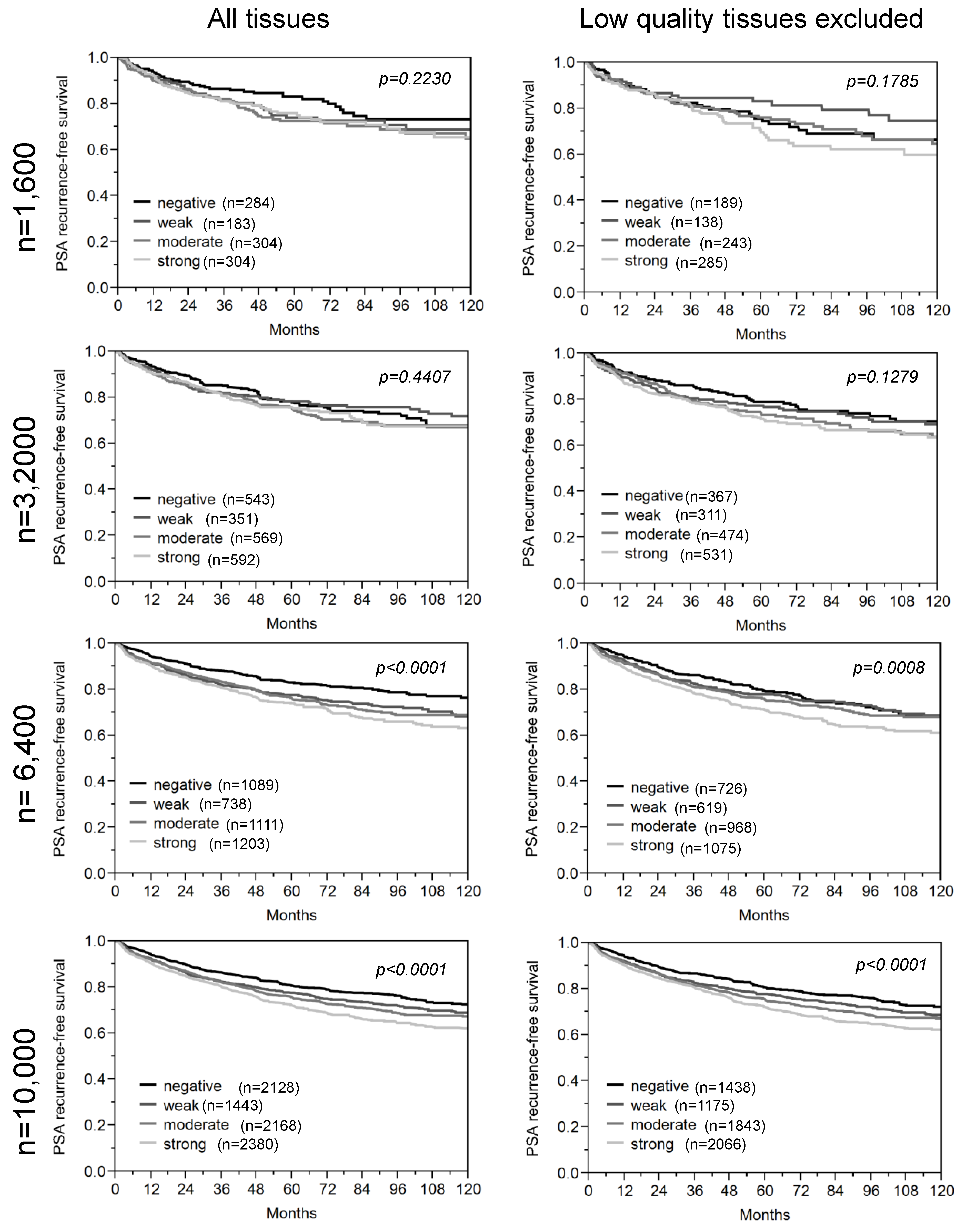Microarrays 03 00137 g006