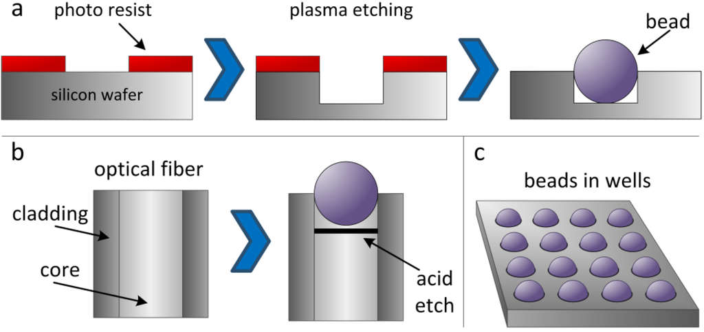 Microarrays 03 00245 g001 1024