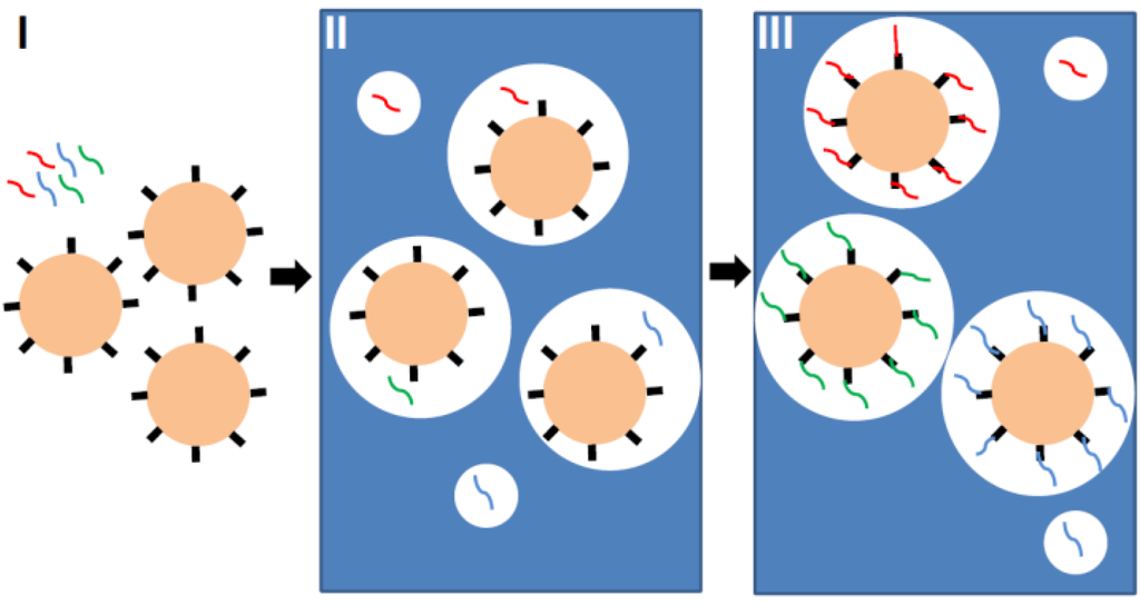 Microarrays 03 00245 g003 1024