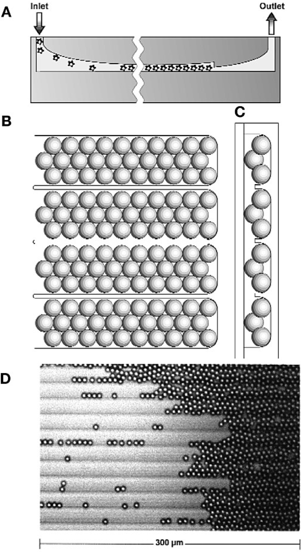 Microarrays 03 00245 g004 1024