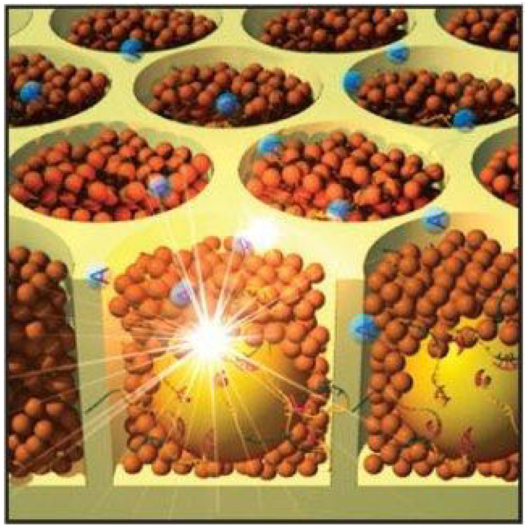 Microarrays 03 00245 g005 1024