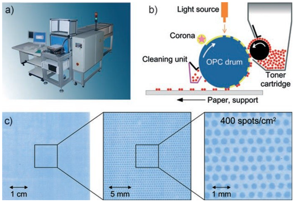 Microarrays 03 00245 g007 1024