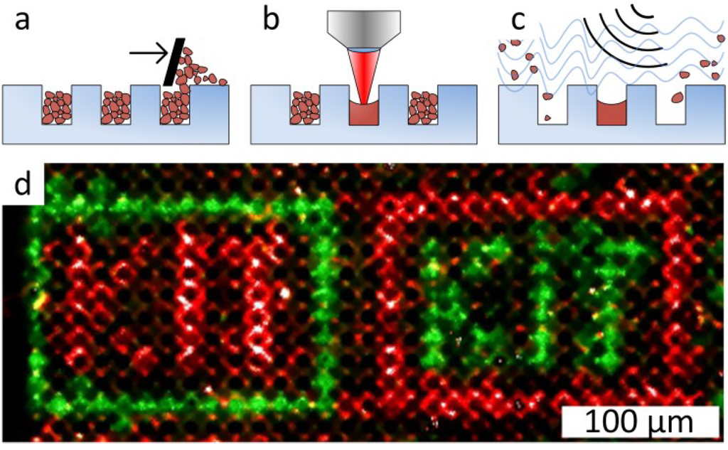 Microarrays 03 00245 g009 1024