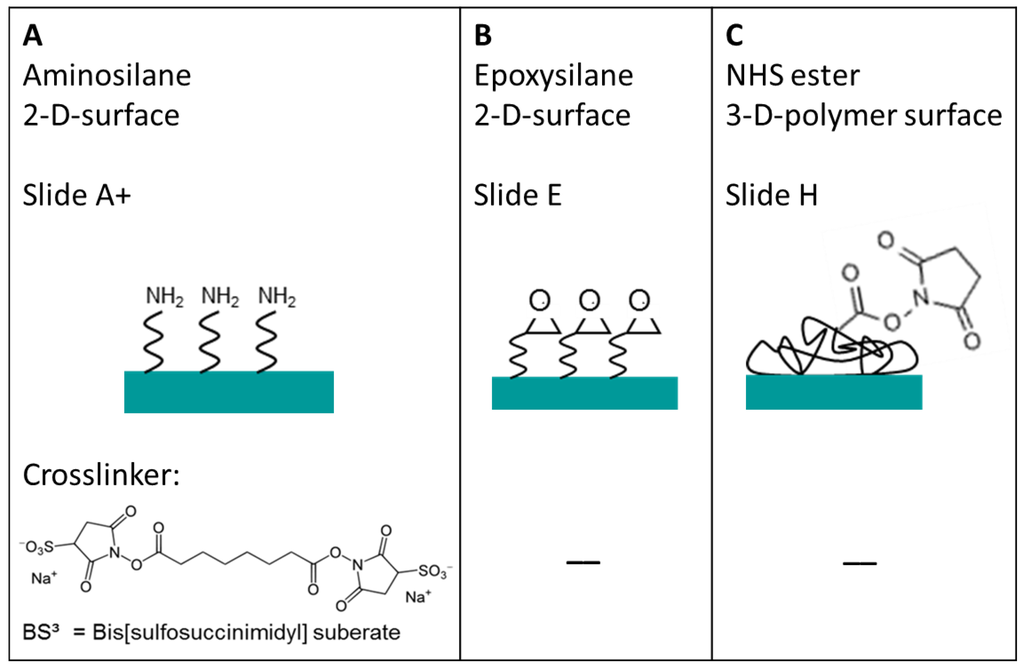 Microarrays 03 00282 g002 1024