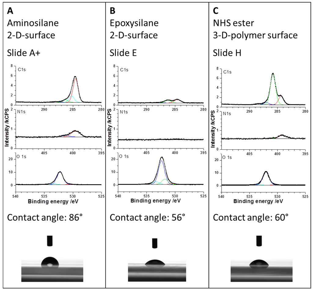 Microarrays 03 00282 g003 1024