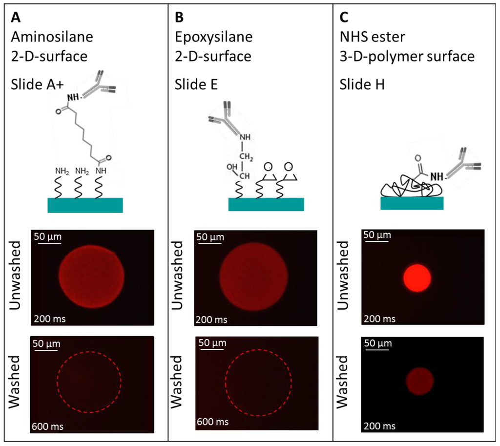 Microarrays 03 00282 g004 1024