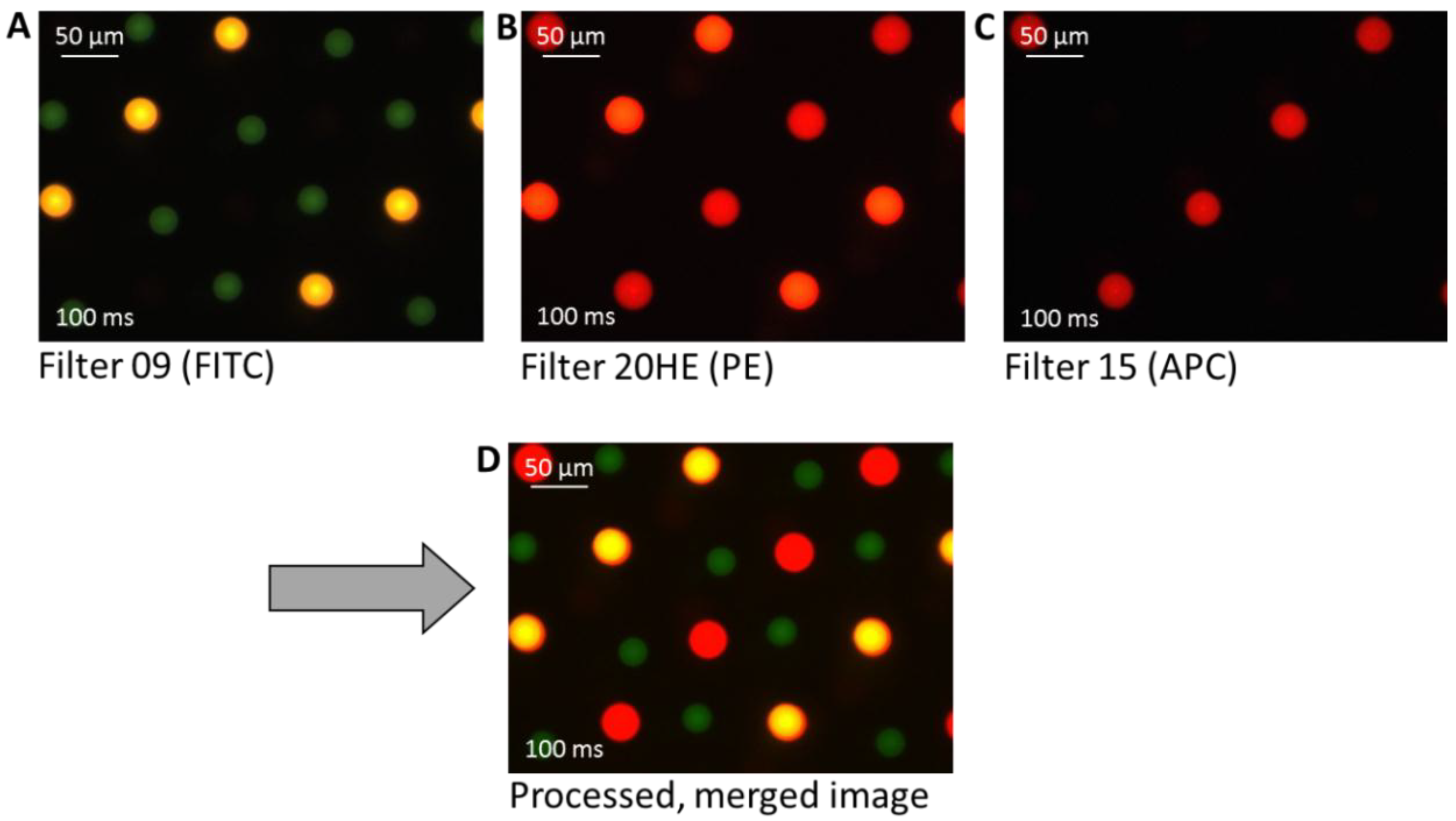 Microarrays 03 00282 g007