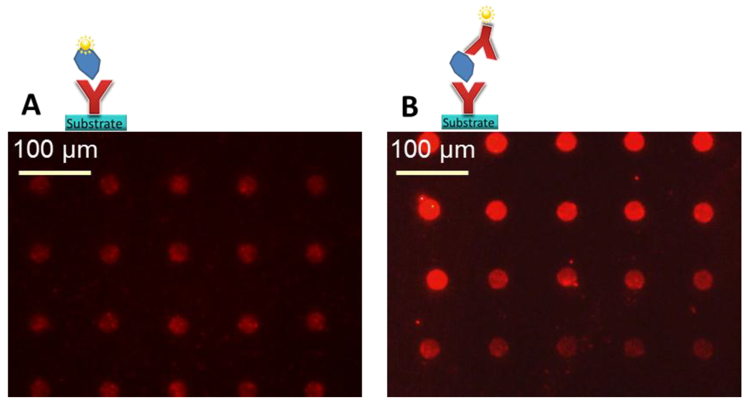 Microarrays 03 00282 g008