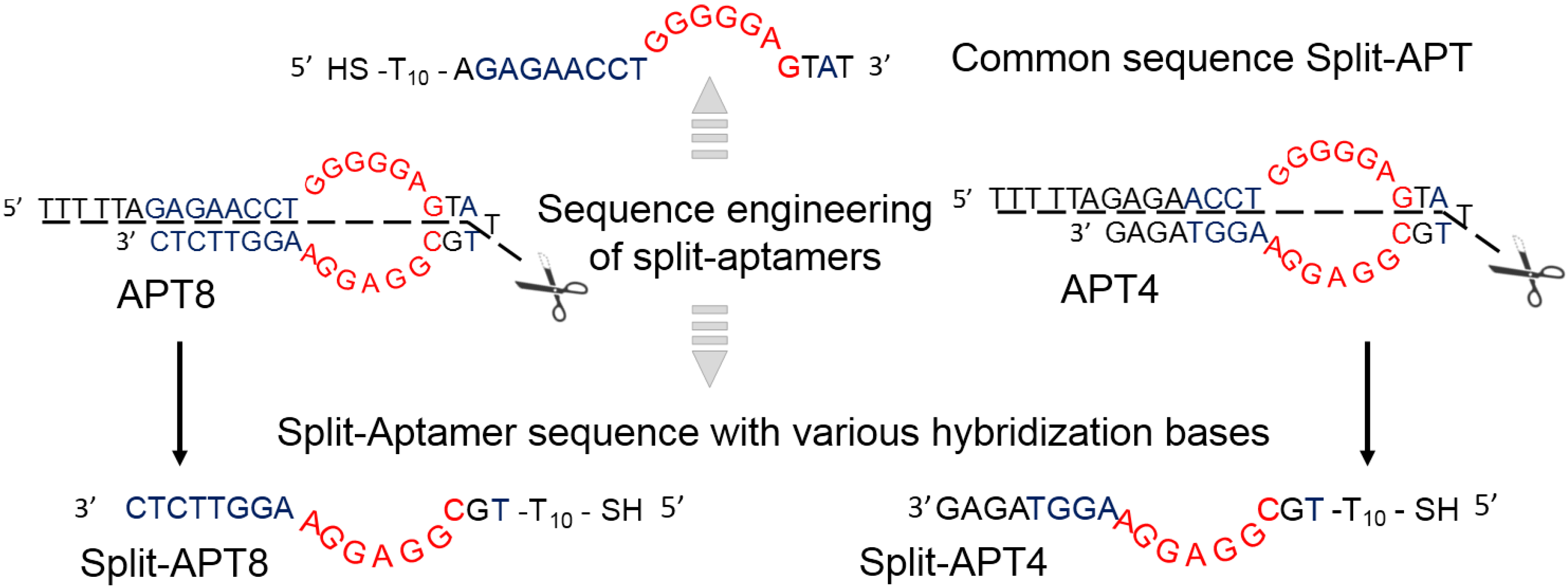 Microarrays 04 00041 g002
