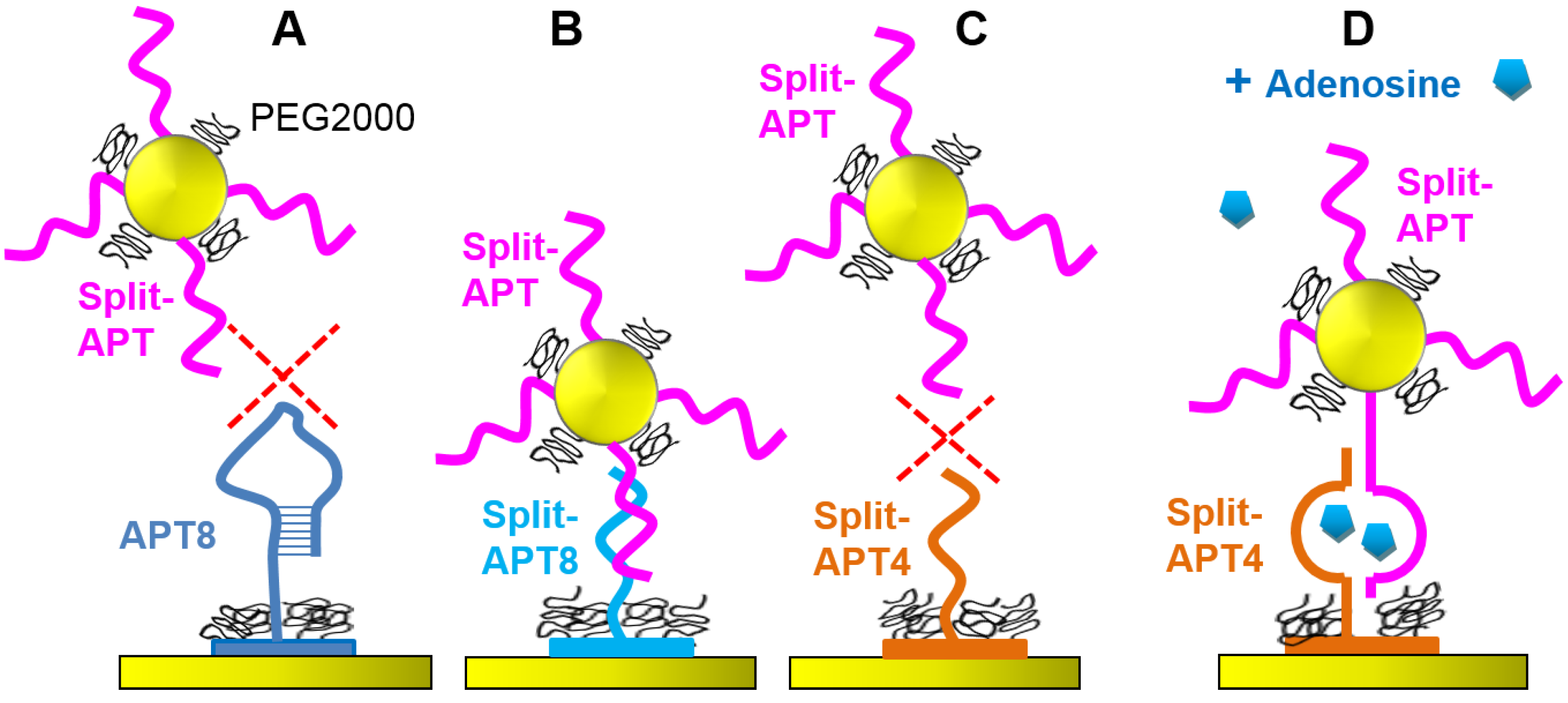Microarrays 04 00041 g003