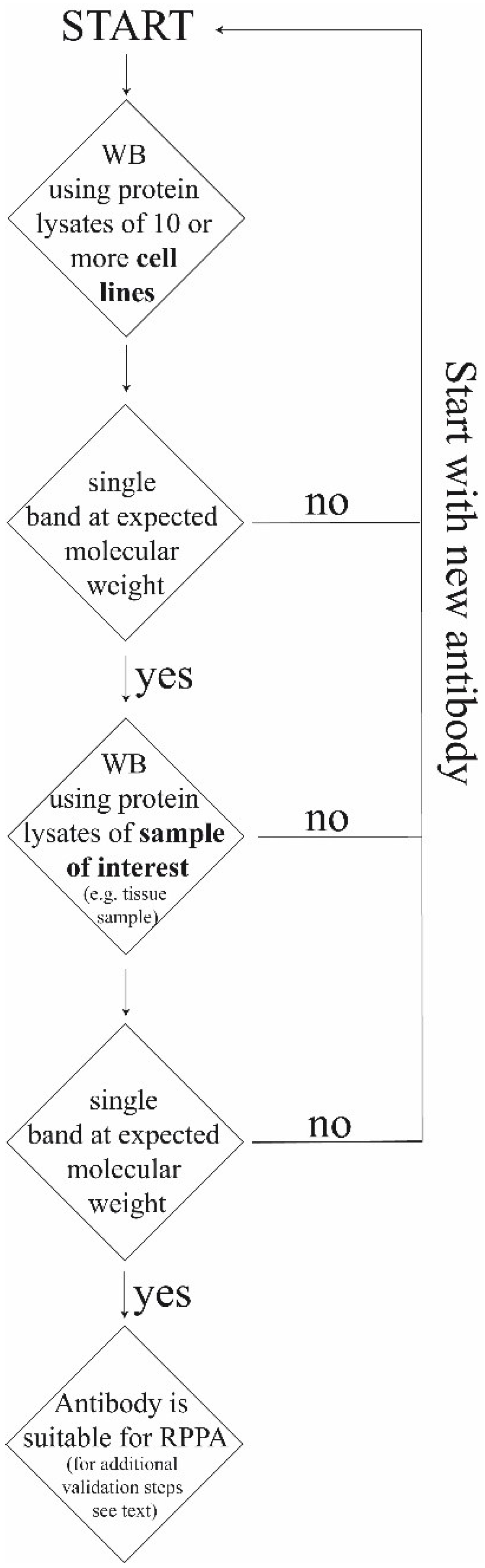 Microarrays 04 00098 g004
