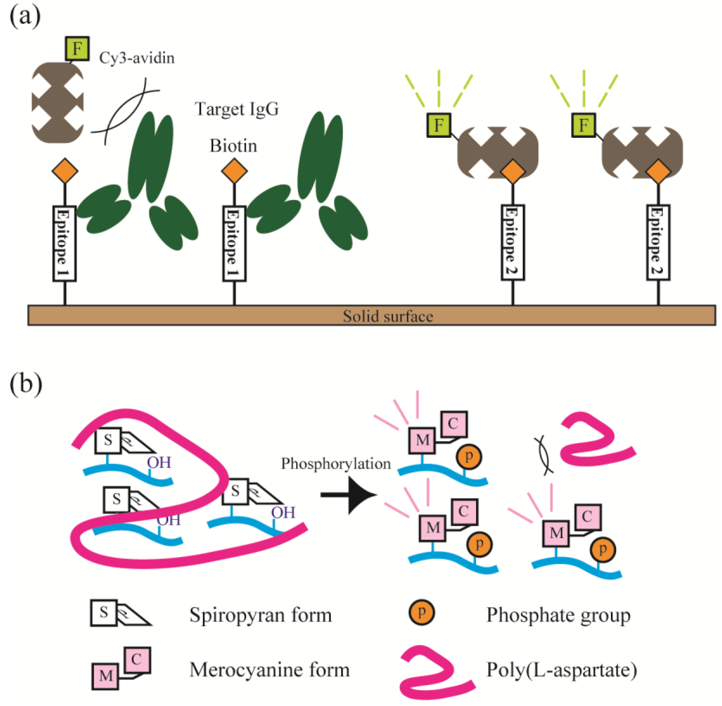 Microarrays 04 00228 g001