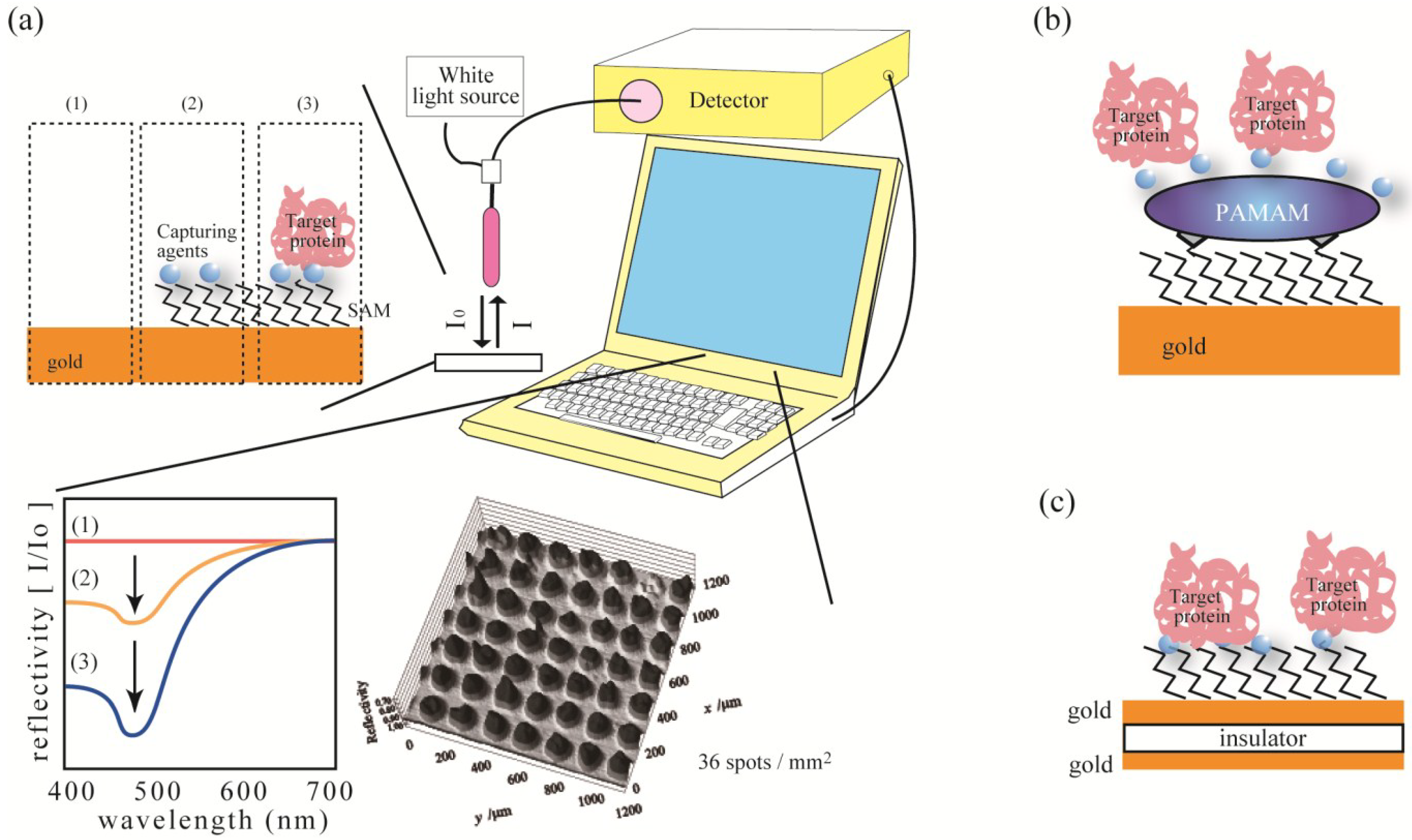 Microarrays 04 00228 g002