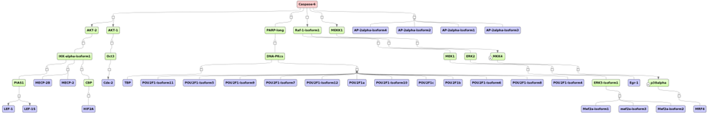 Microarrays 04 00270 g007 1024