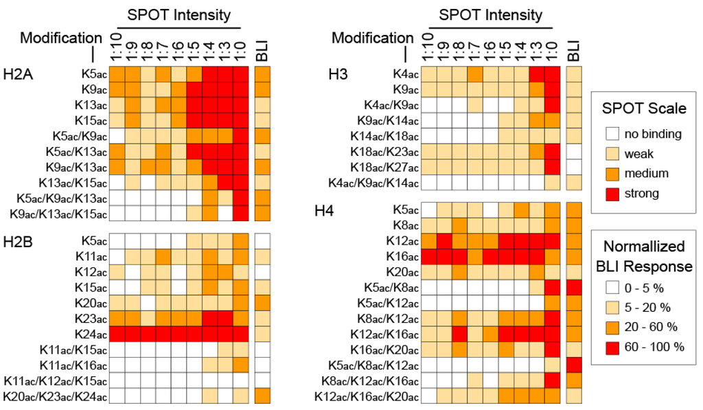 Microarrays 04 00370 g002 1024