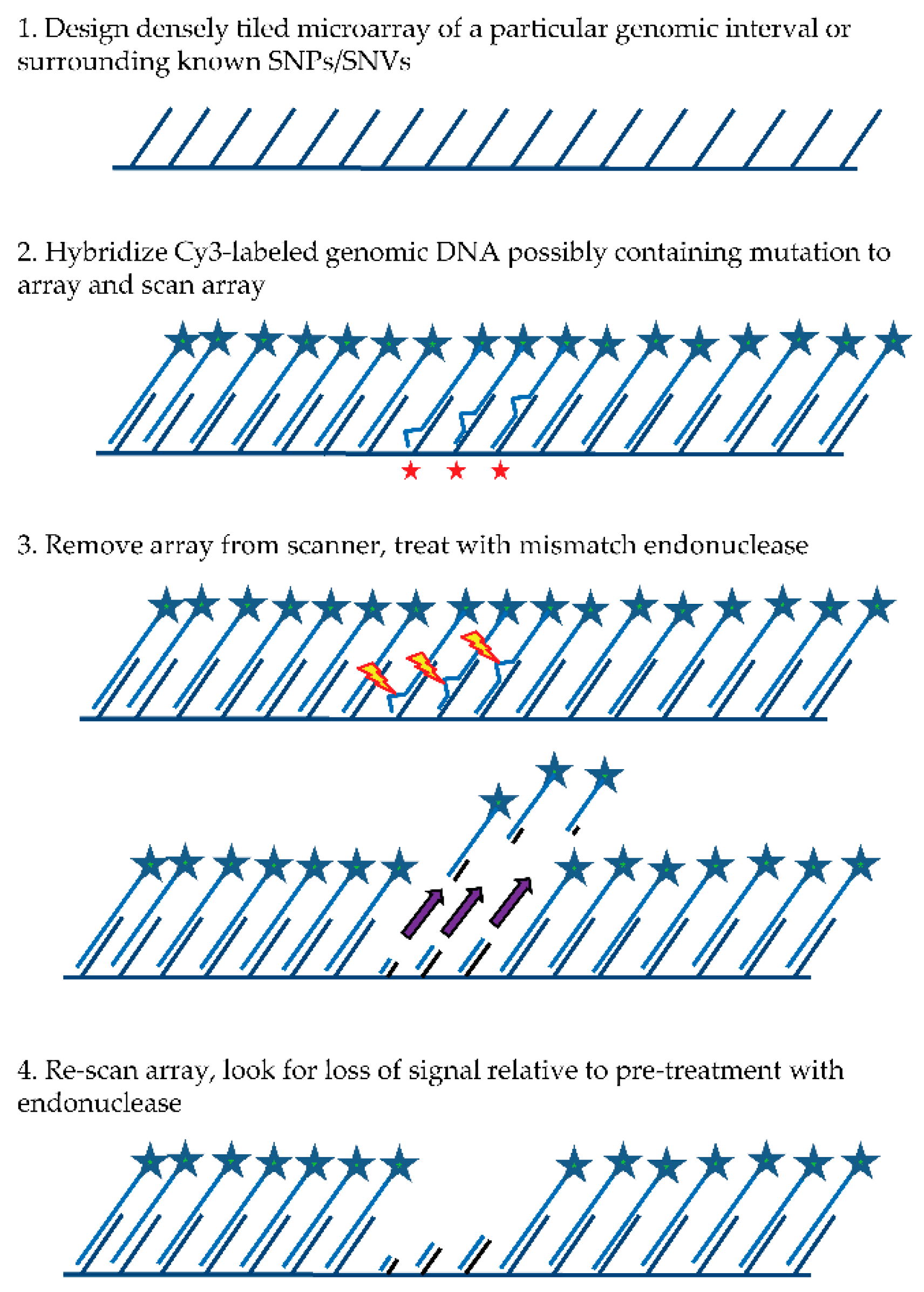 Microarrays 05 00007 g001