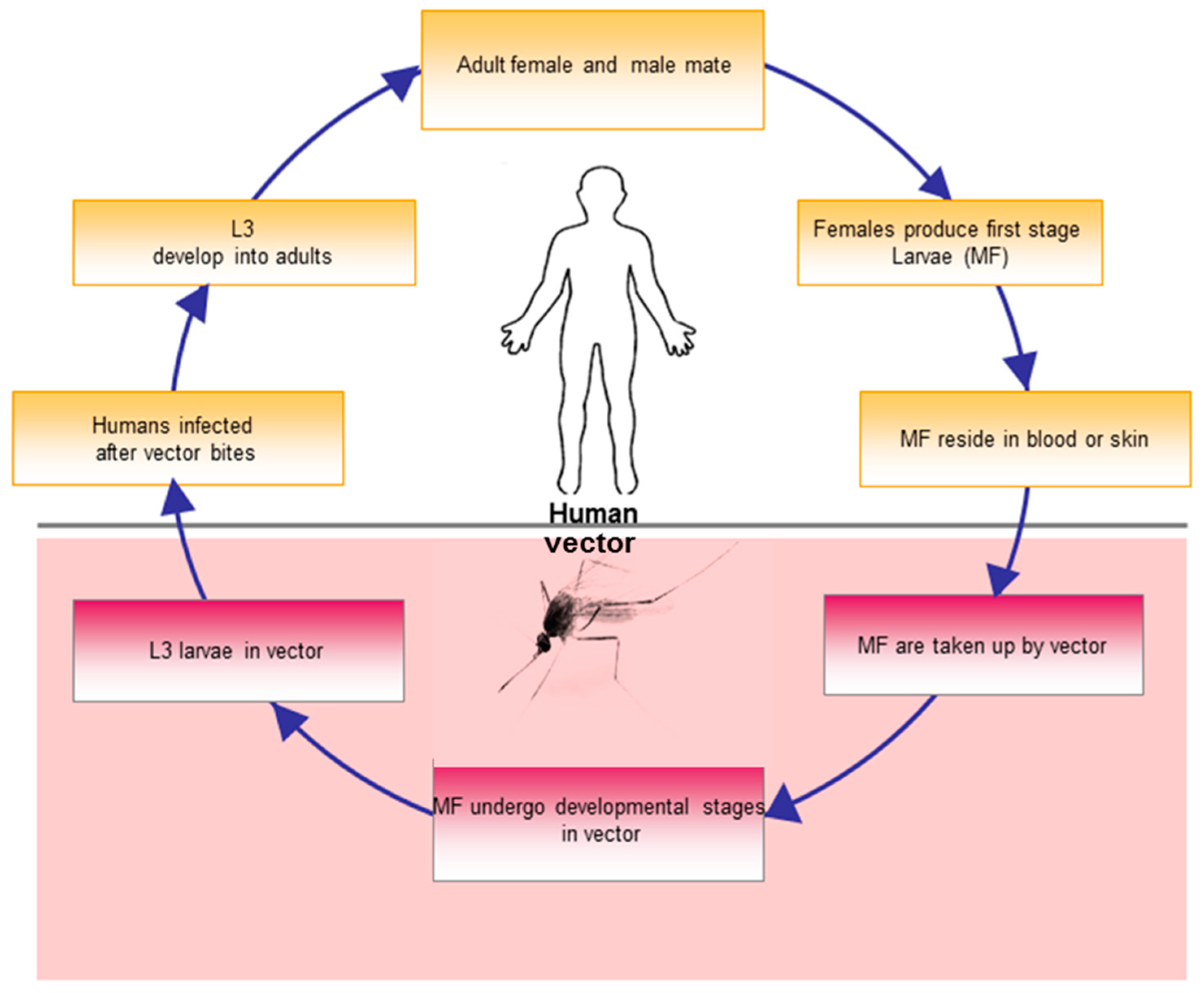 Microarrays 05 00020 g001