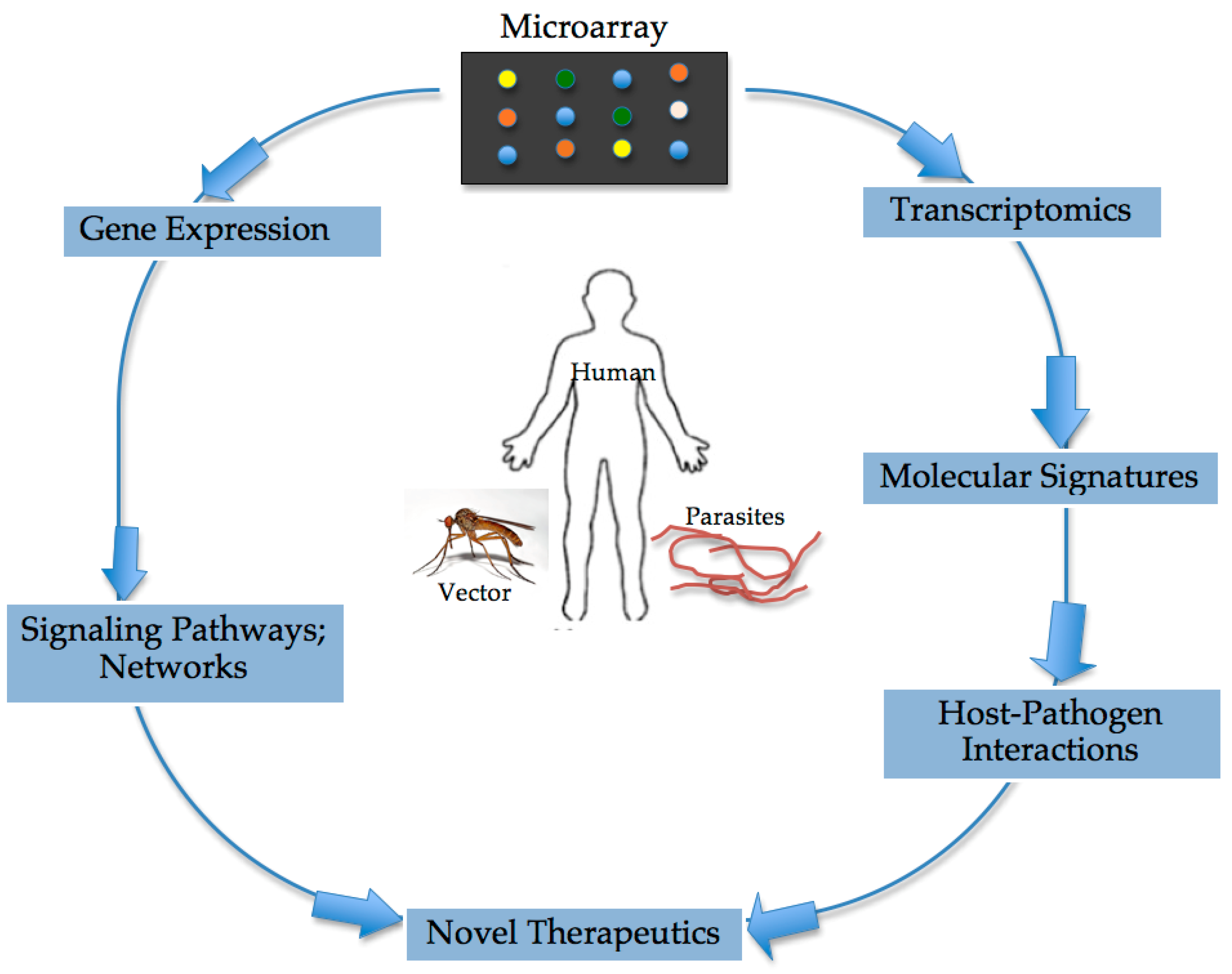 Microarrays 05 00020 g002