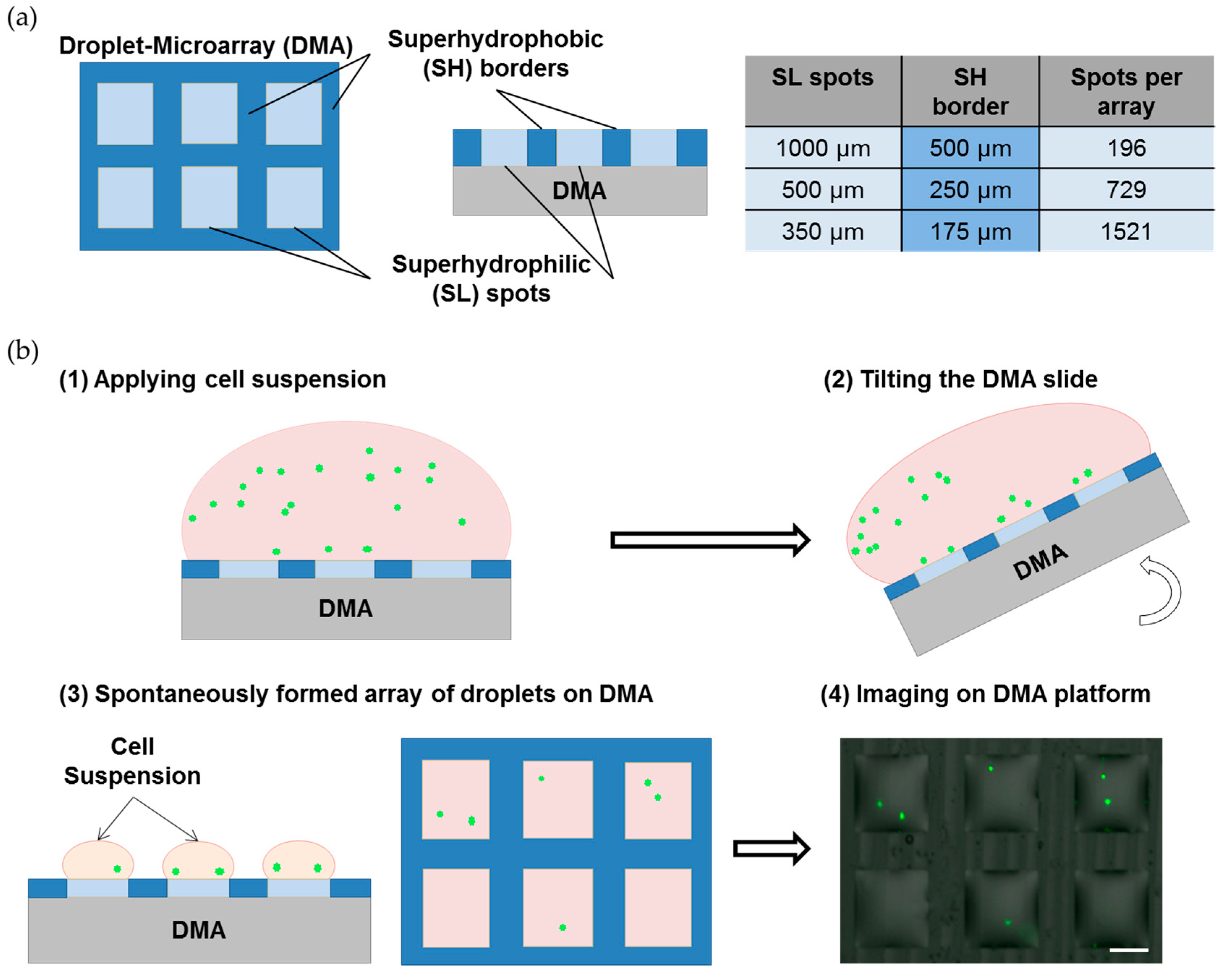 Microarrays 05 00028 g001