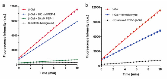 Enhancement of inhibition by crosslinking peptide with enzyme. (a) PEP-1 (“RVFKRKRWLHVSRYYFGSC”) decreased the inhibition of β-galactosidase (β-Gal) when it was diluted from 20 μM (green) to 200 nM (blue); (b) Formaldehyde-crosslinked PEP-1–β-Gal complex (green) with strongly inhibited enzyme activity, even at 200 nM peptide concentration.