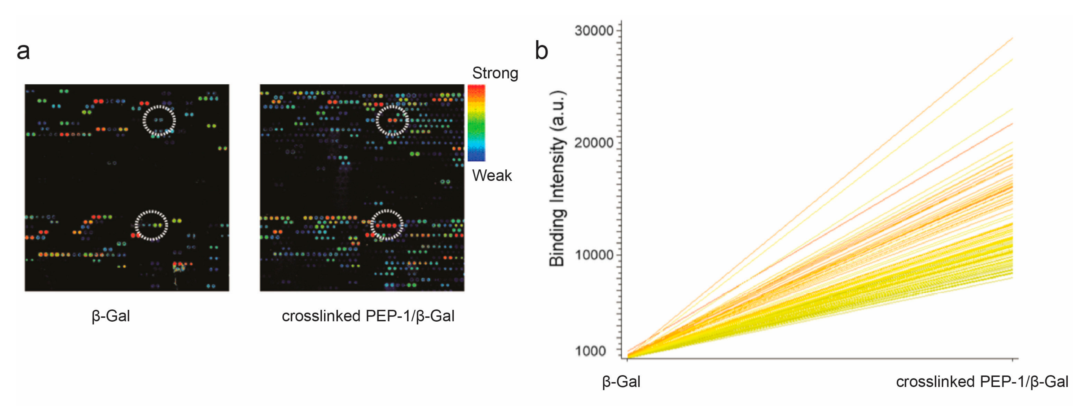 Microarrays 06 00008 g002