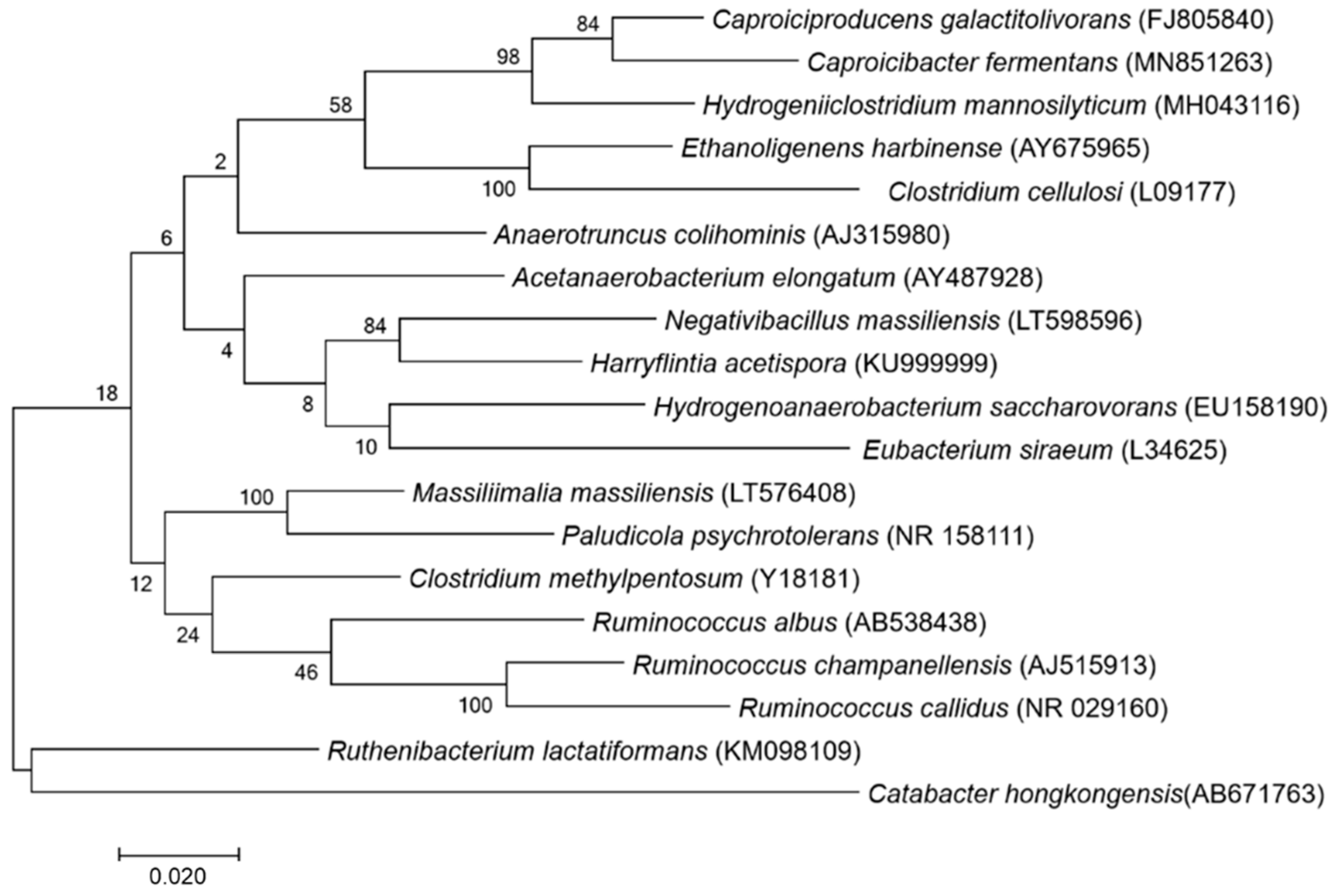 Microbiolres 12 00004 g001