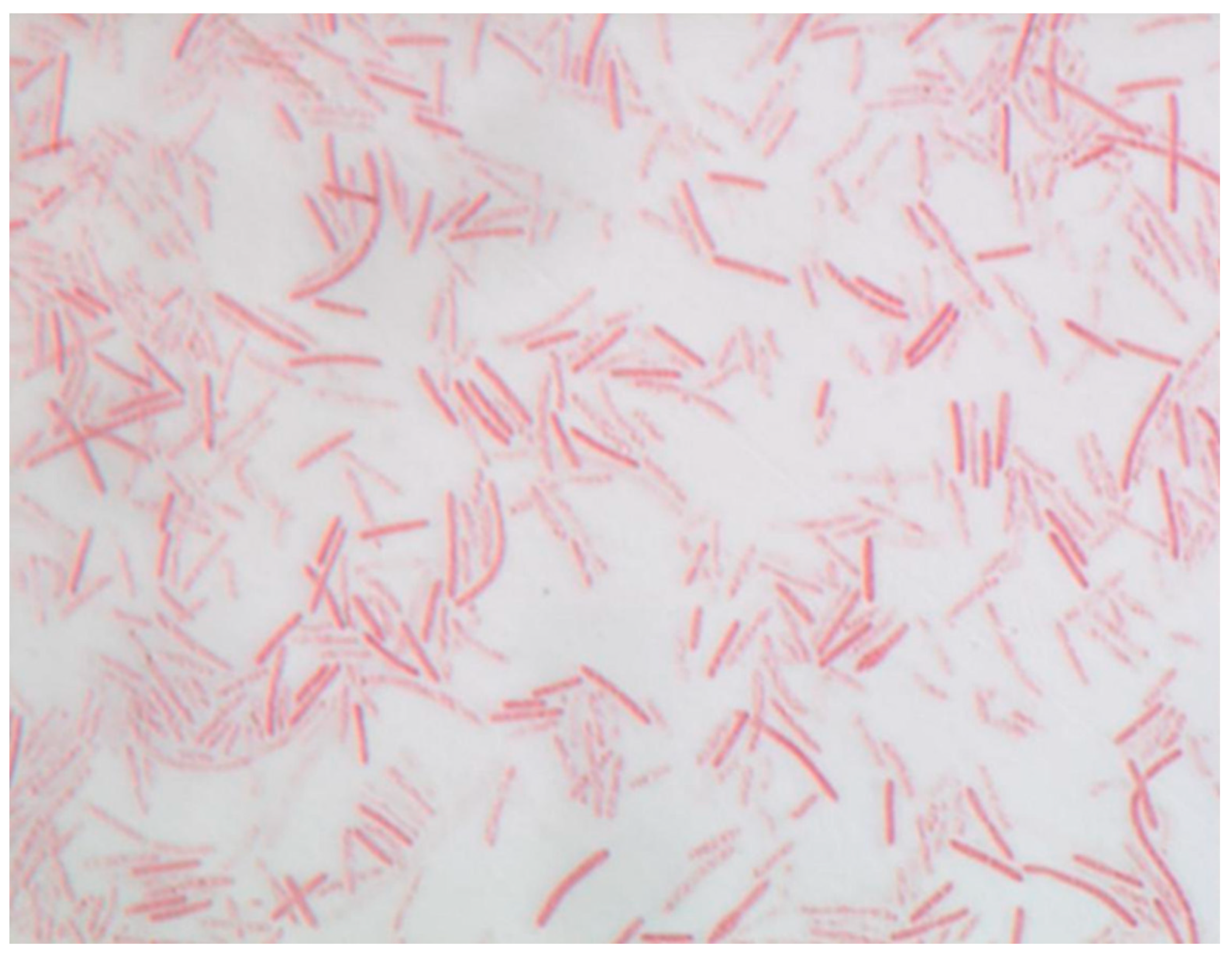 Microbiolres 12 00004 g003