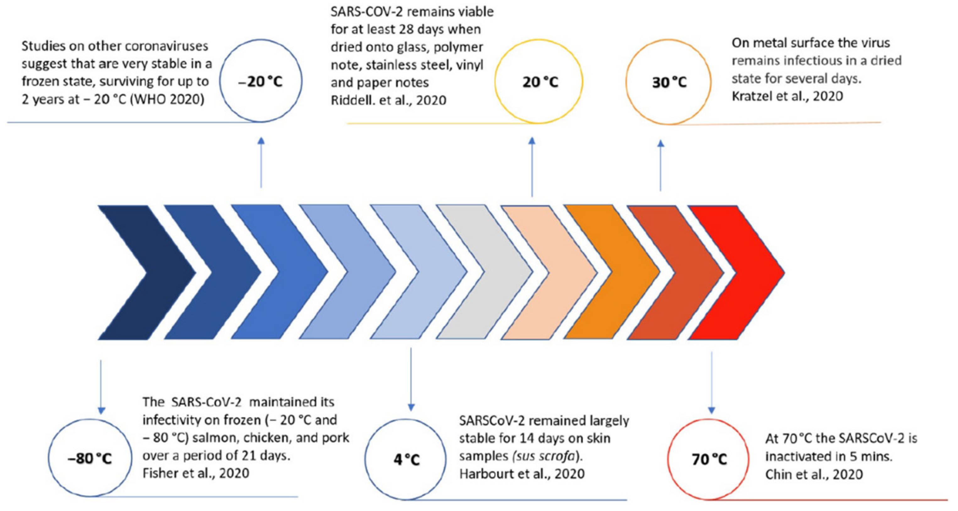 Microbiolres 12 00006 g002