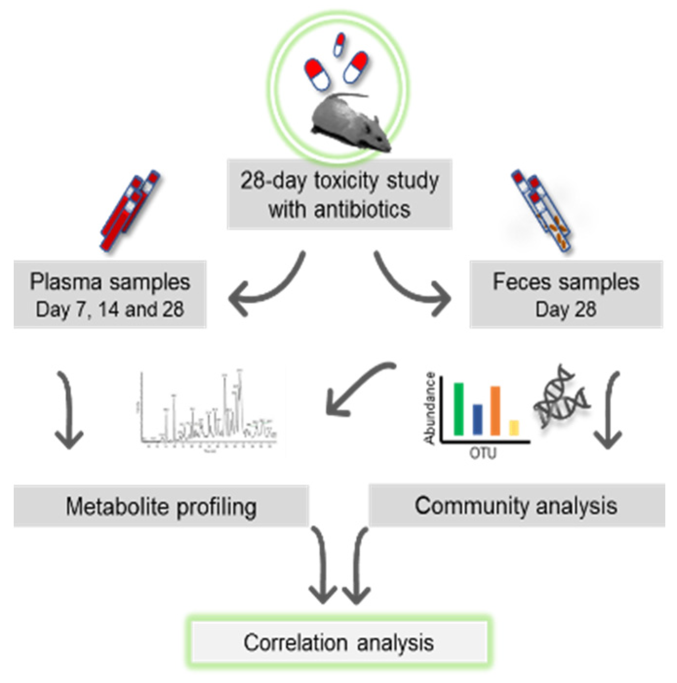 Microbiolres 12 00008 g001