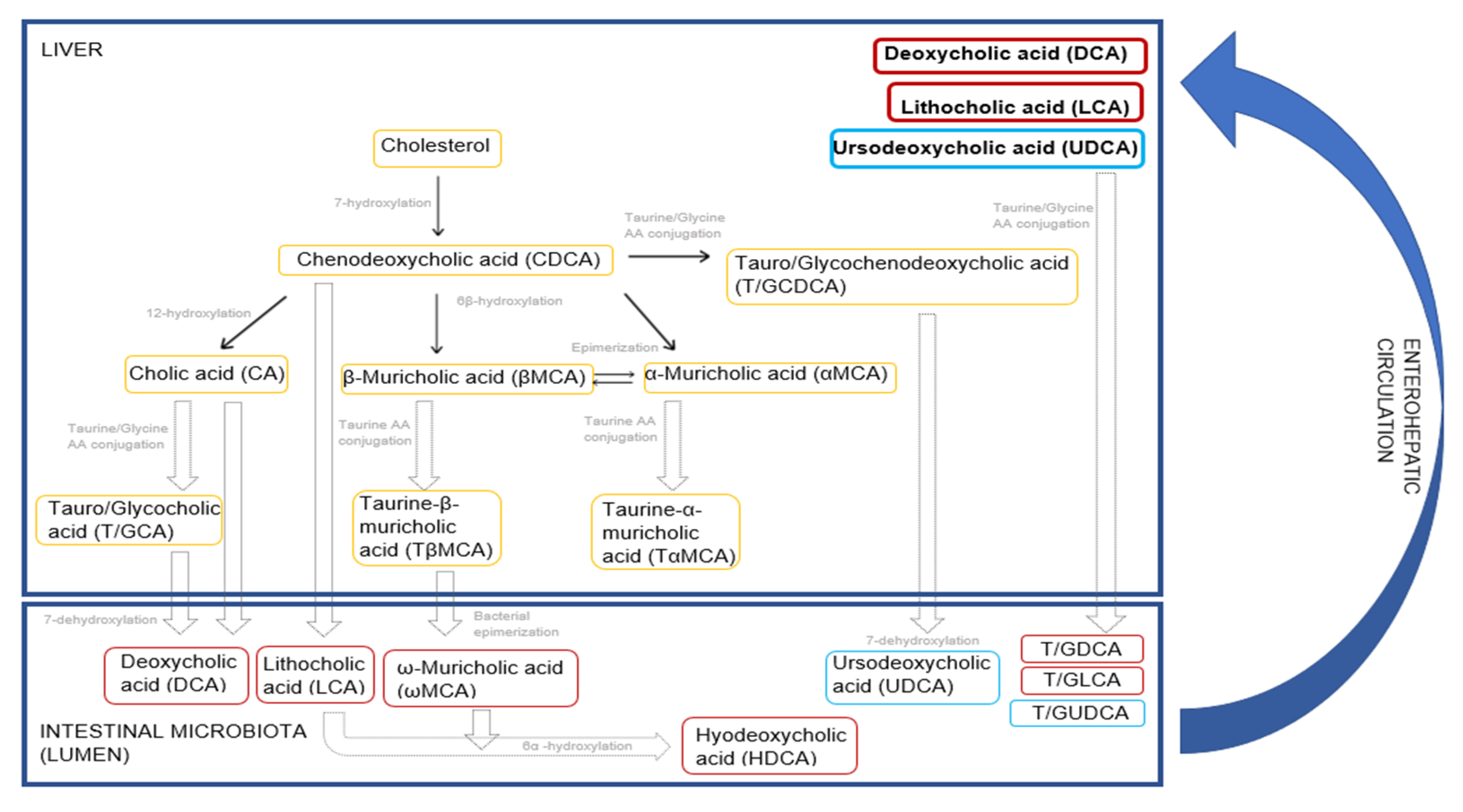 Microbiolres 12 00008 g013