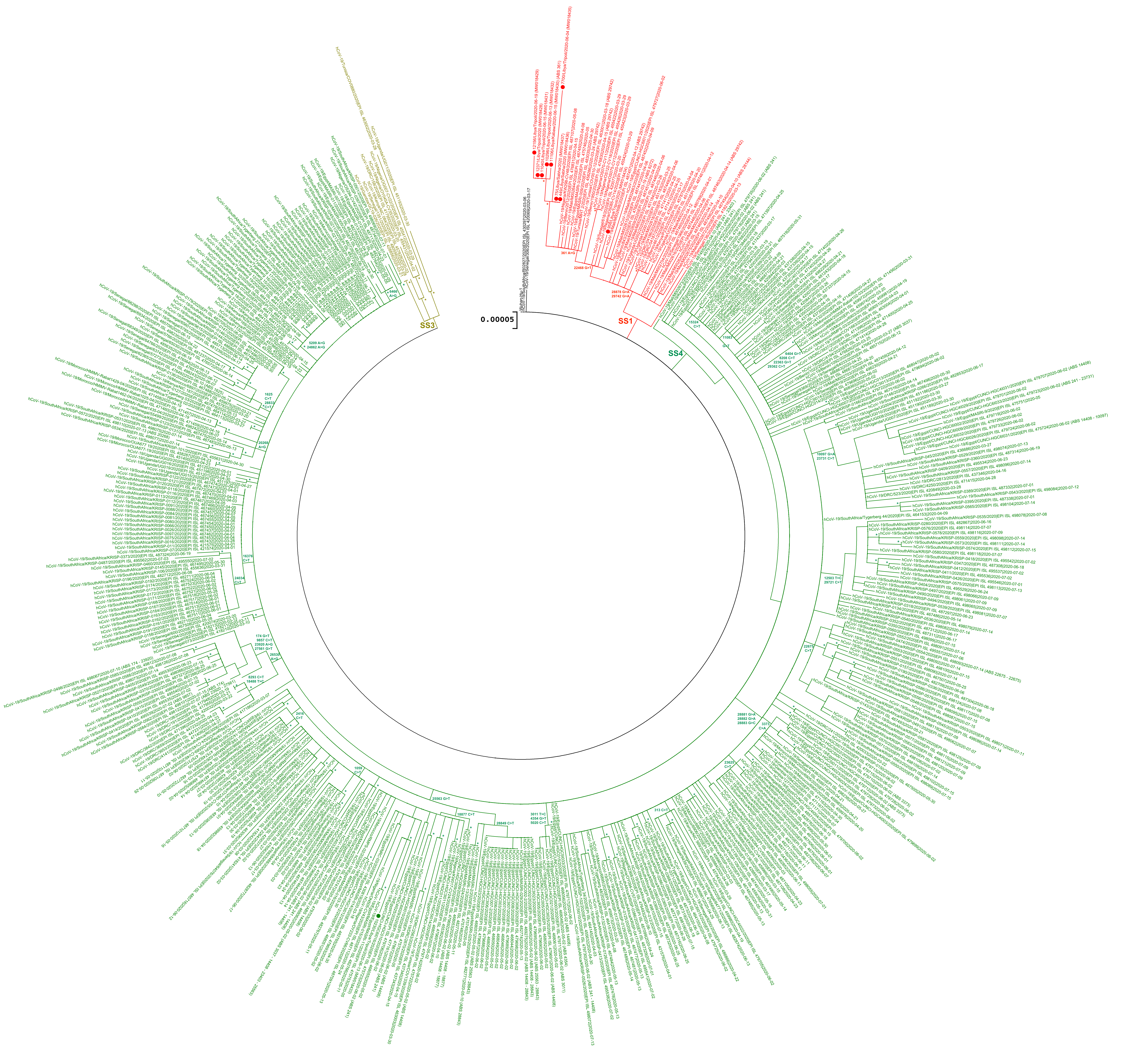 Microbiolres 12 00010 g002