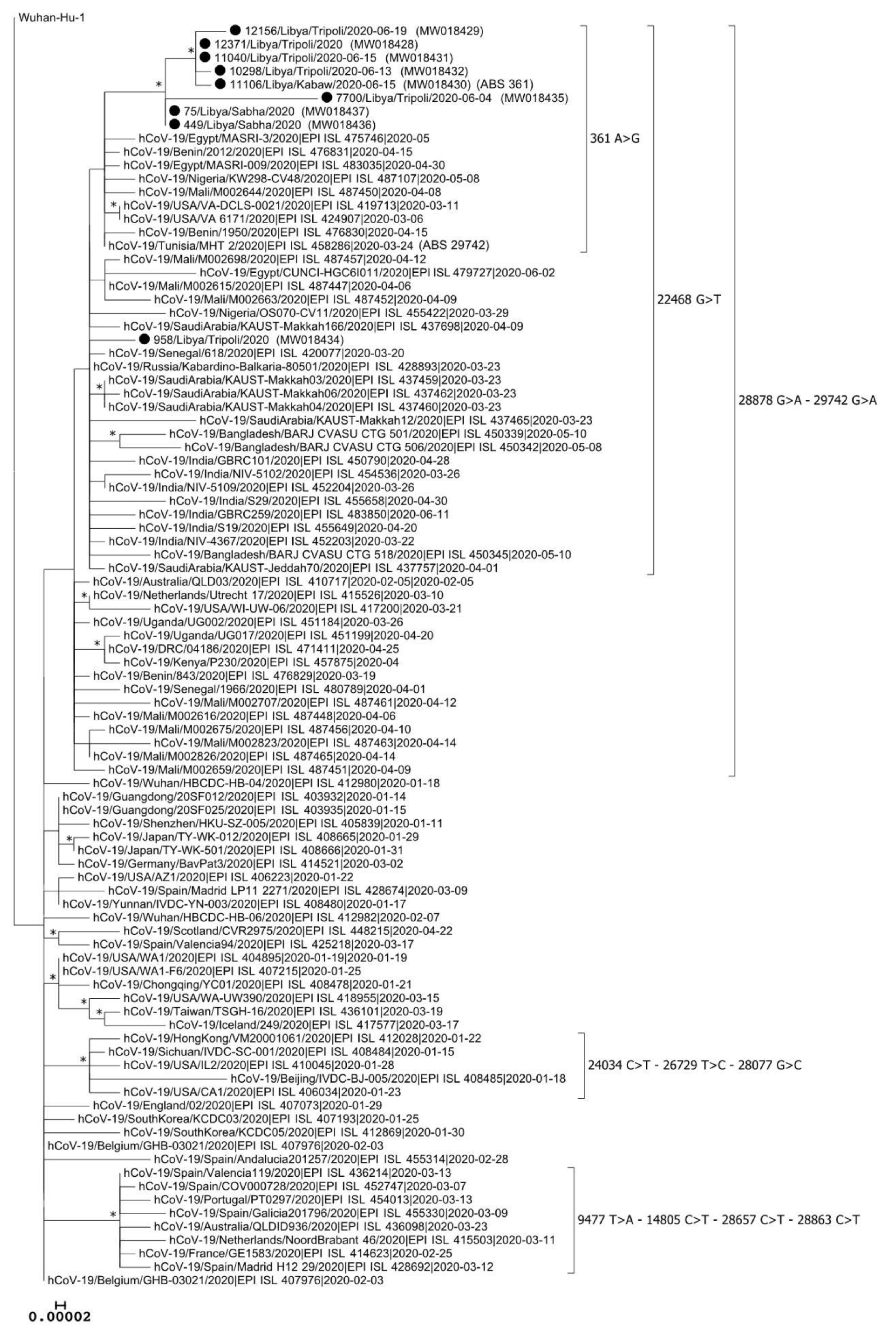 Microbiolres 12 00010 g003
