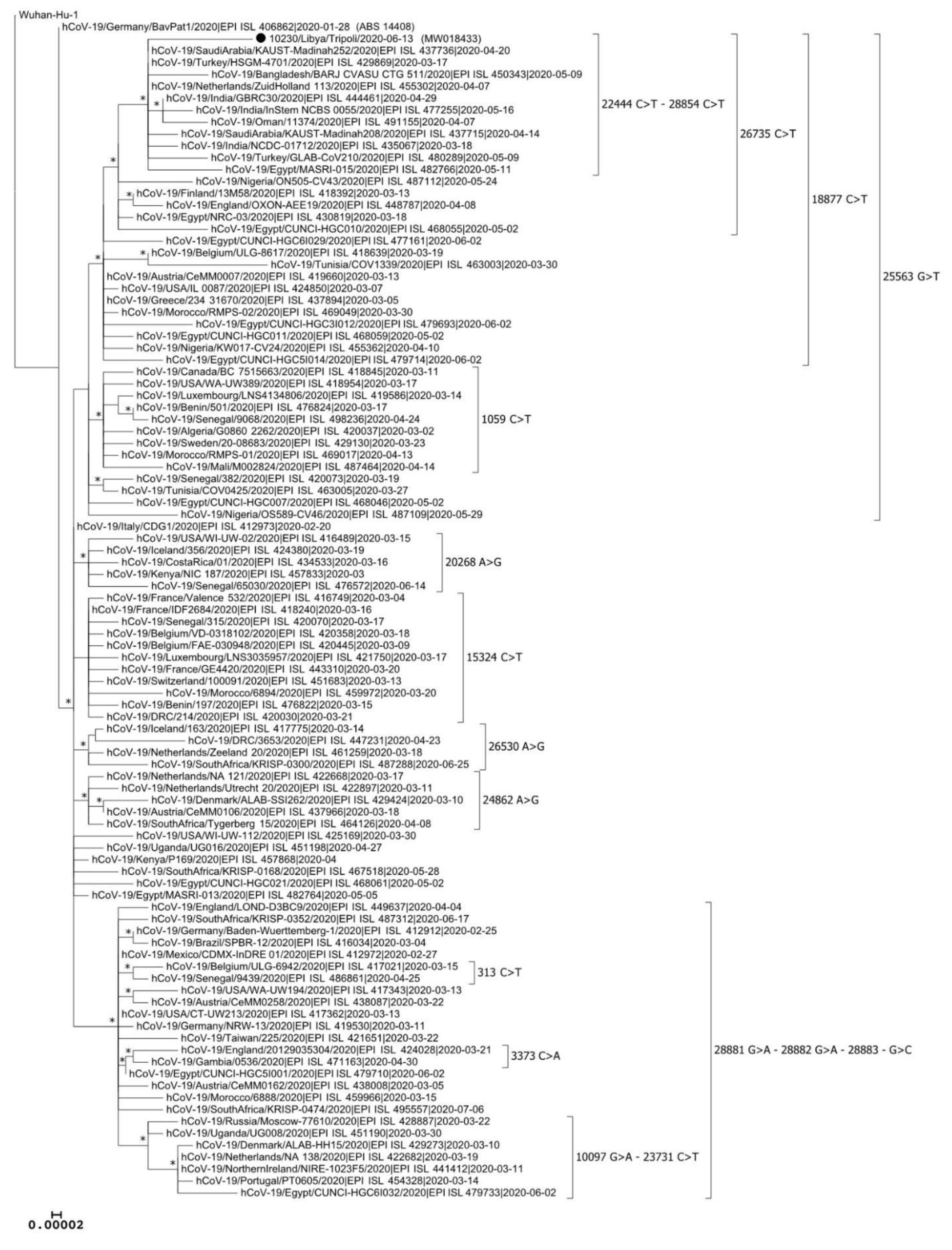 Microbiolres 12 00010 g004