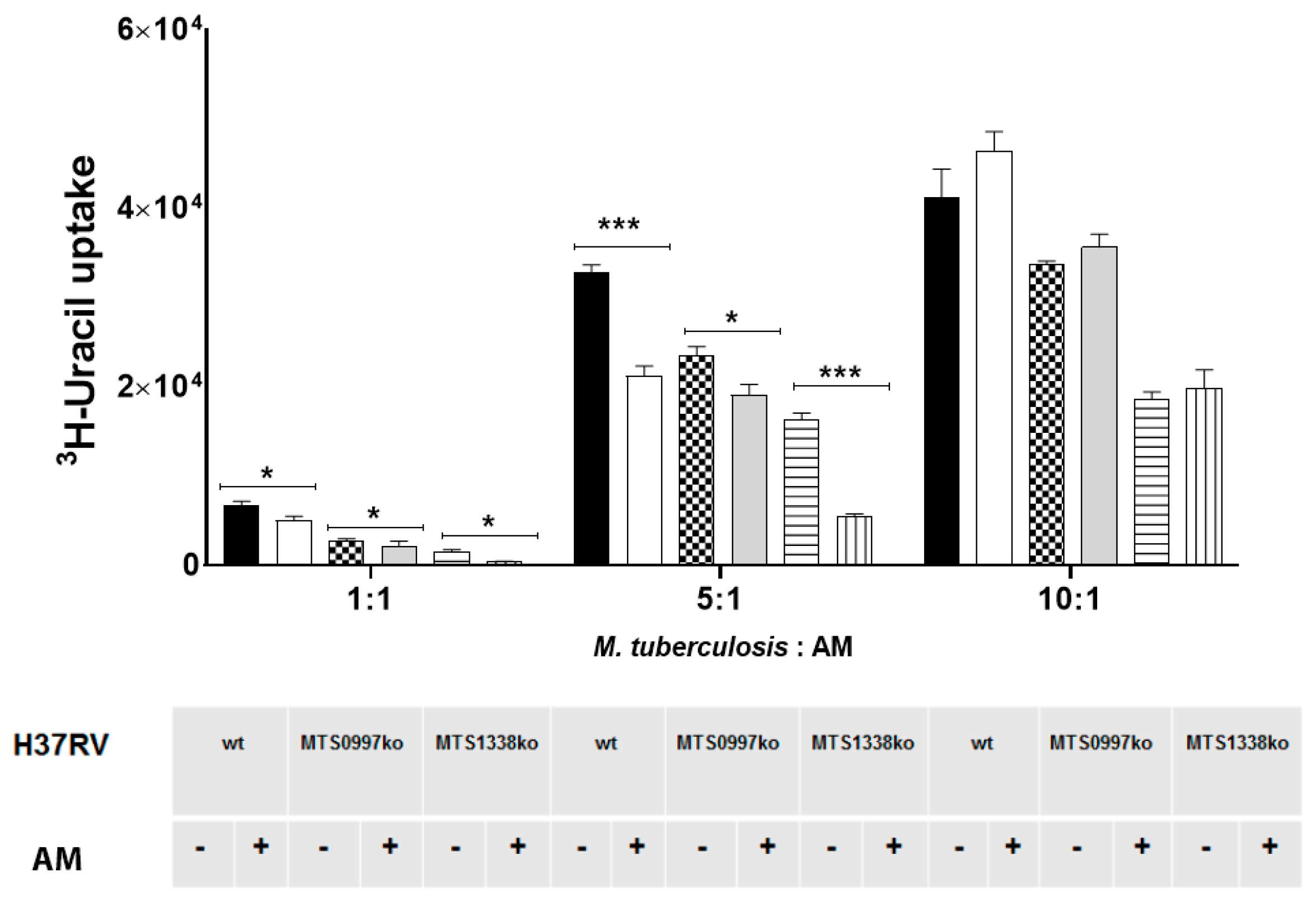 Microbiolres 12 00014 g001 Microbiolres 12 00014 g001