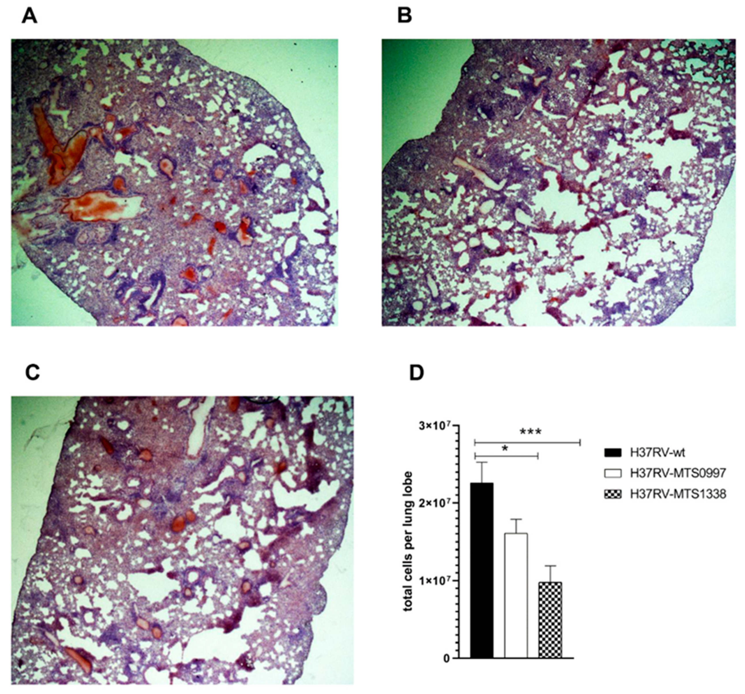 Microbiolres 12 00014 g002 Microbiolres 12 00014 g002