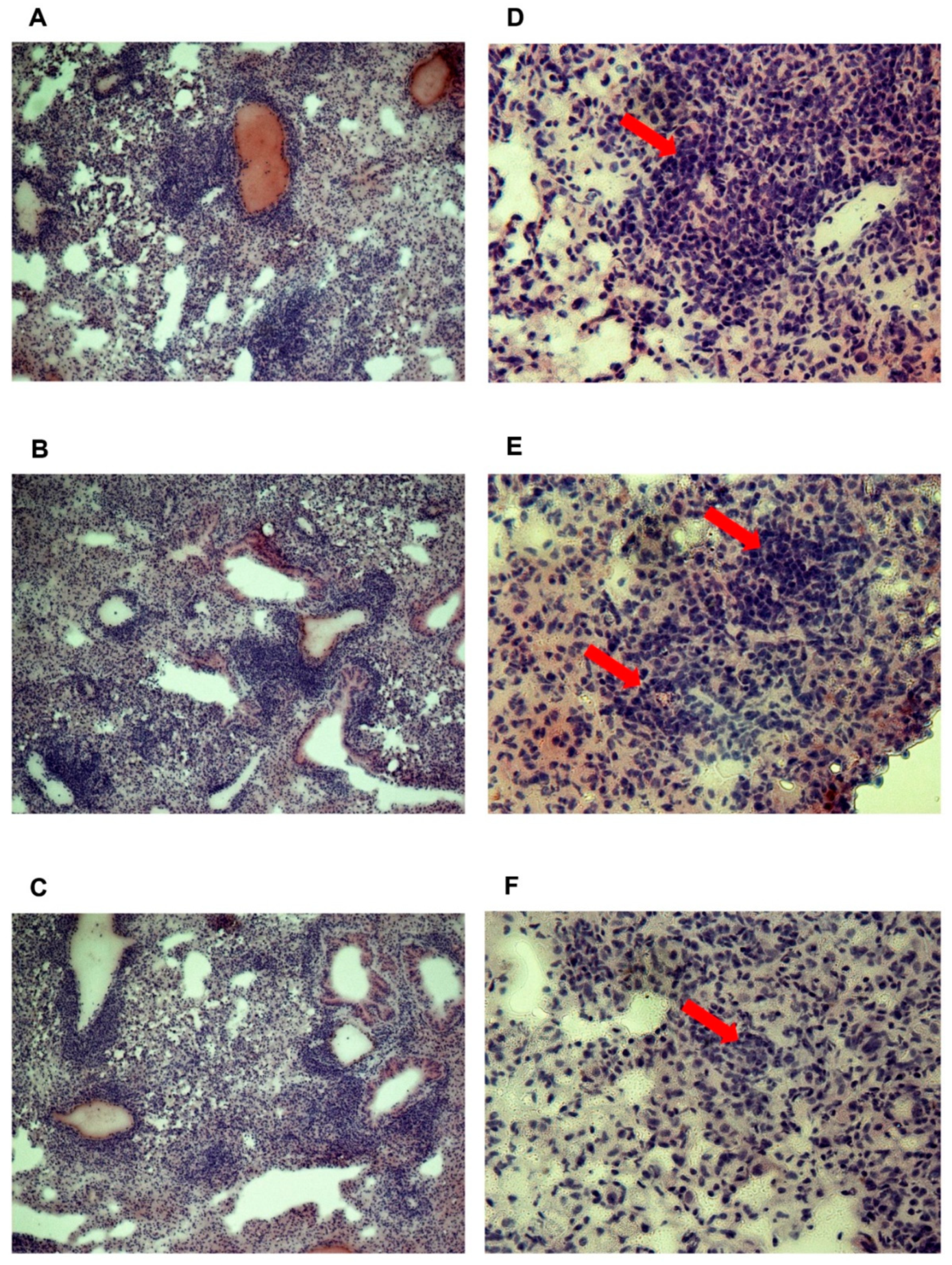 Microbiolres 12 00014 g003 Microbiolres 12 00014 g003