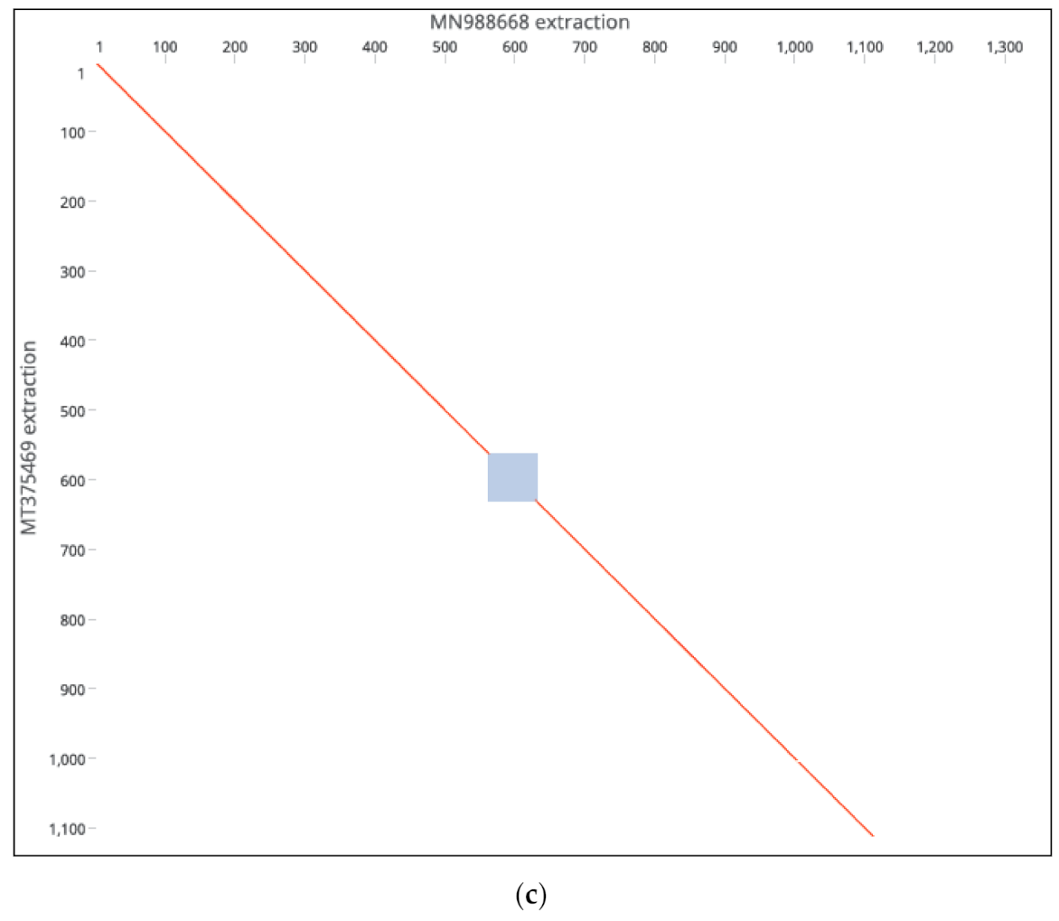 Microbiolres 12 00016 g002c