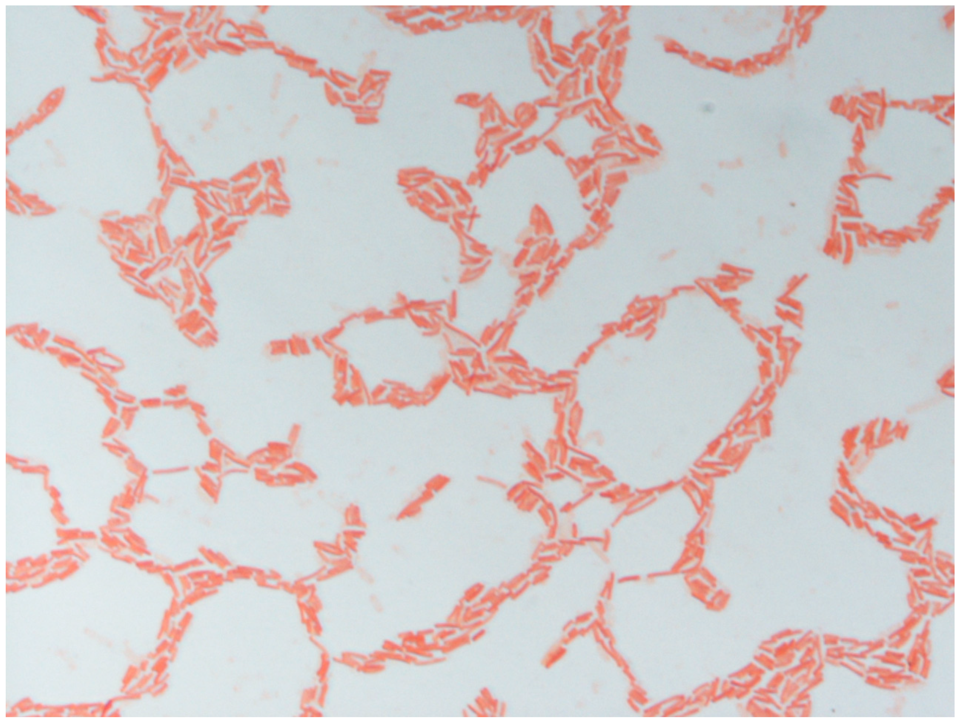 Microbiolres 12 00021 g002