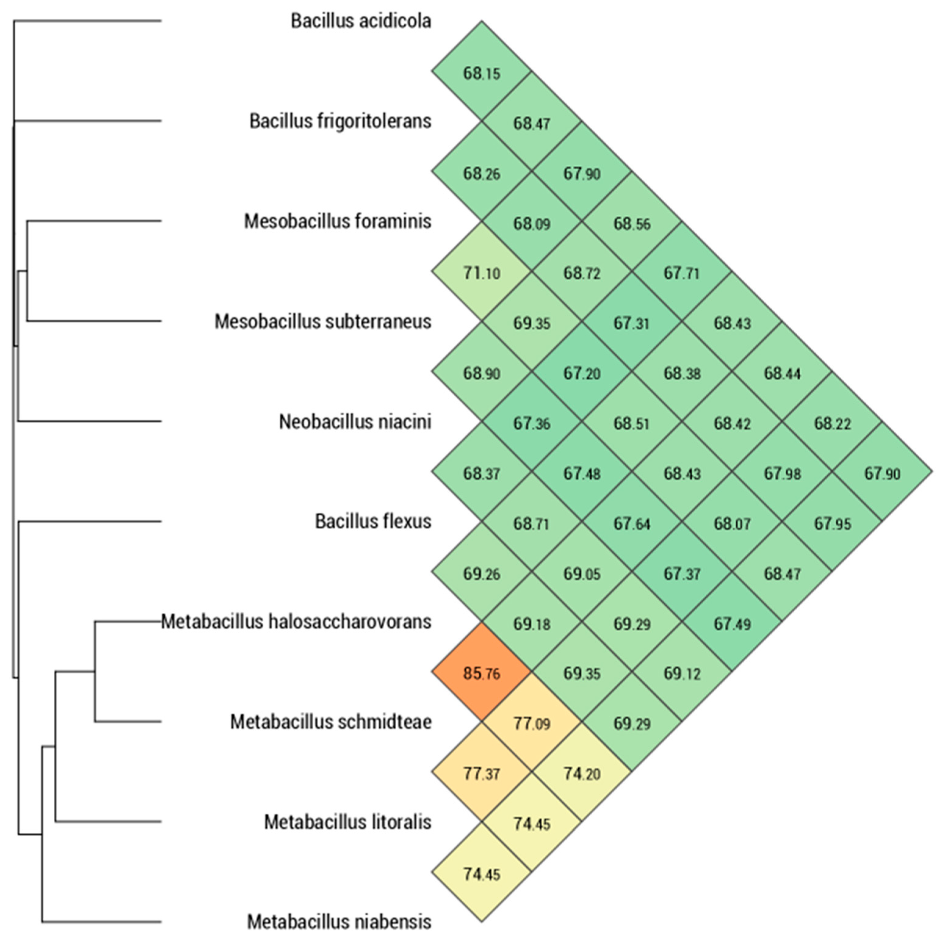 Microbiolres 12 00021 g004