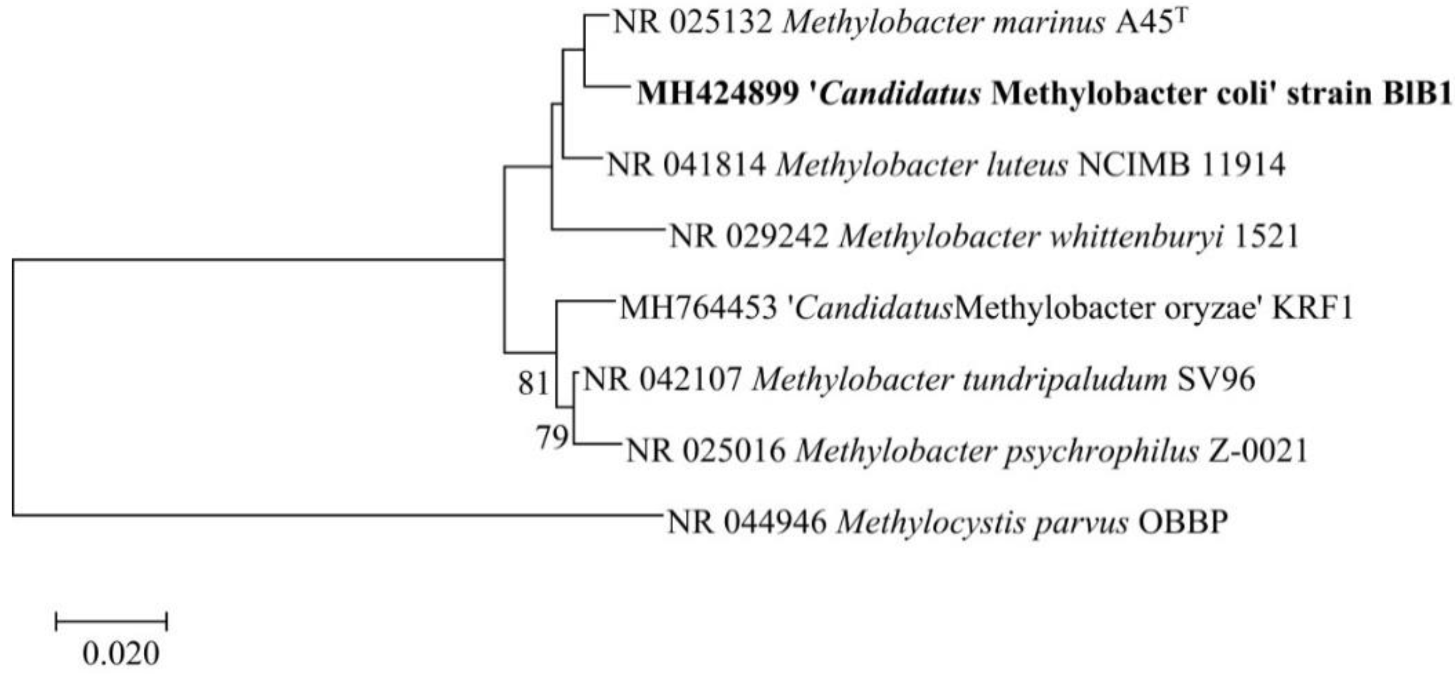 Microbiolres 12 00035 g002