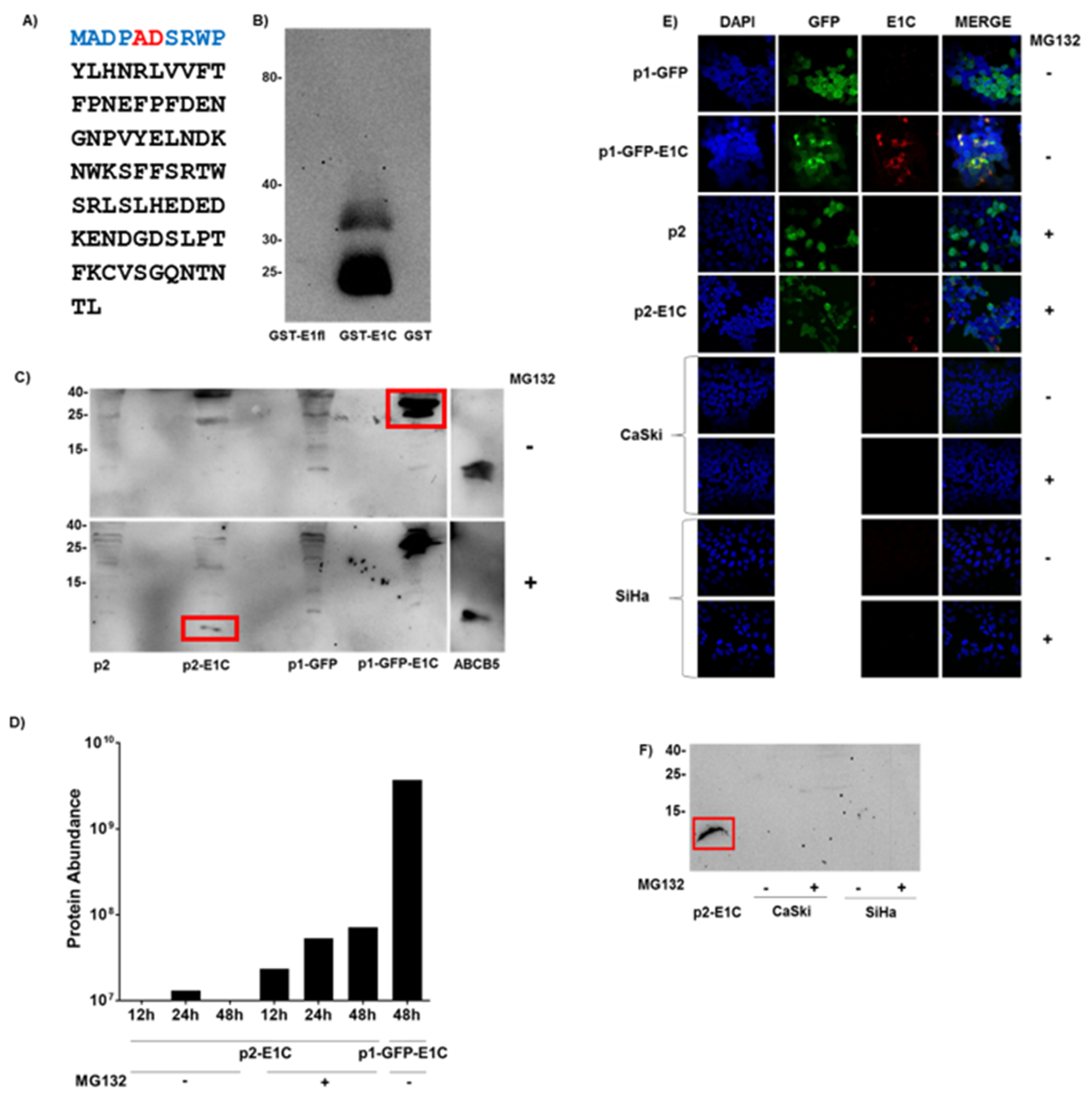 Microbiolres 12 00038 g001 Microbiolres 12 00038 g001