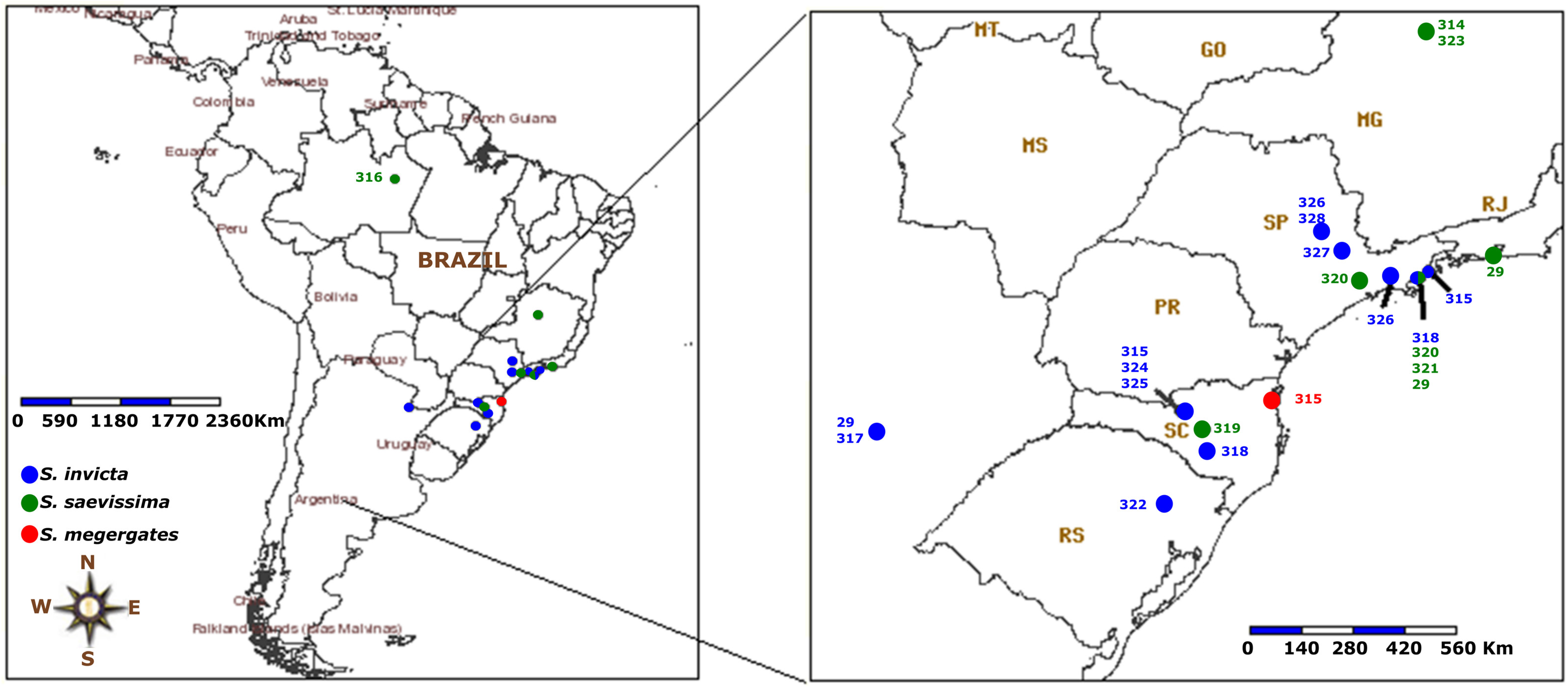 Microbiolres 12 00040 g002 Microbiolres 12 00040 g002