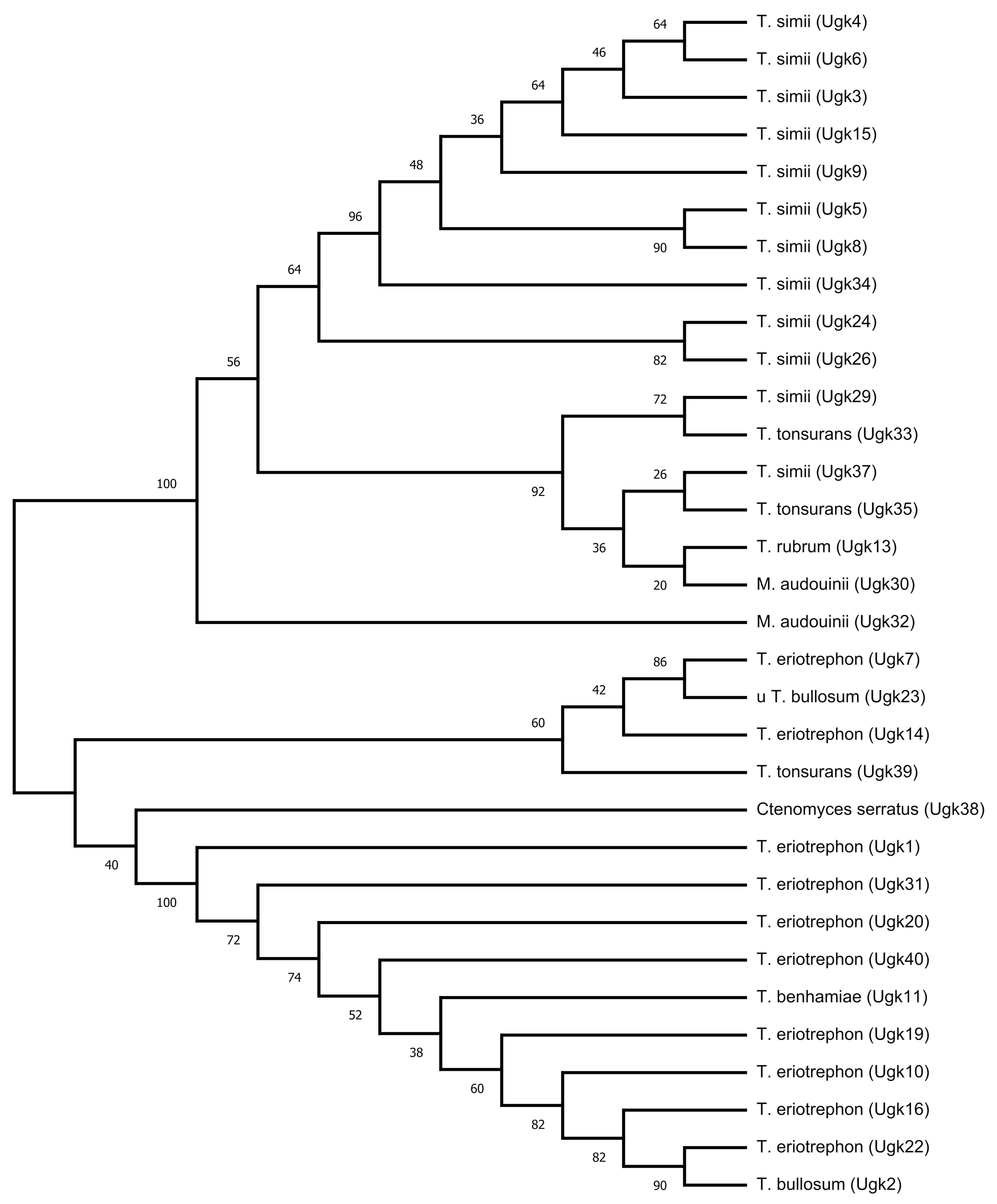 Microbiolres 12 00046 g002