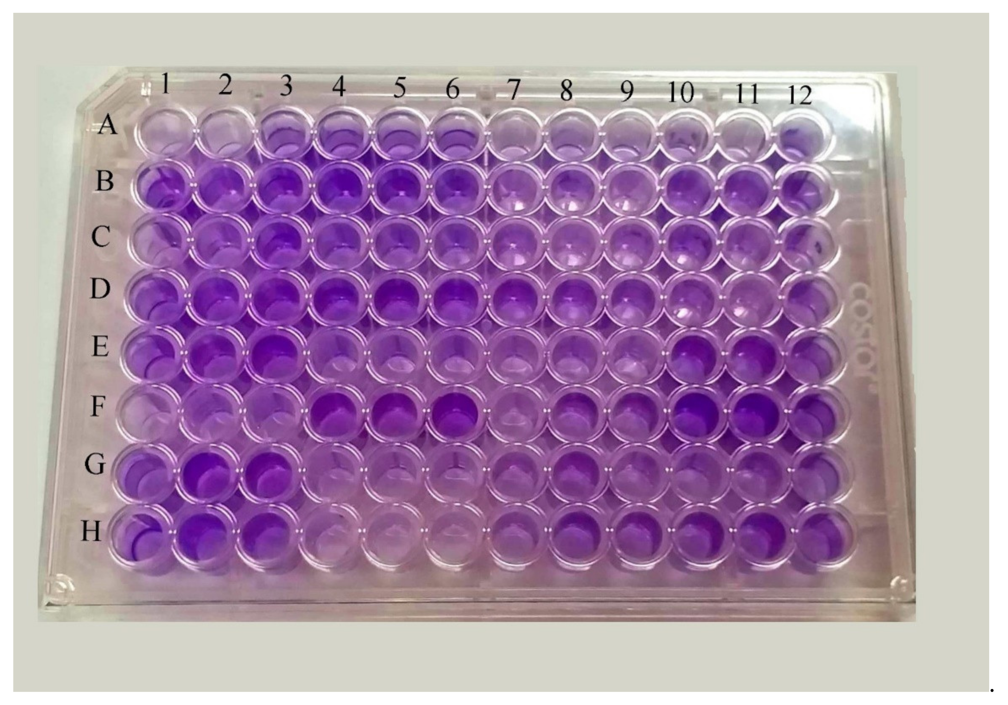 Microbiolres 12 00049 g001