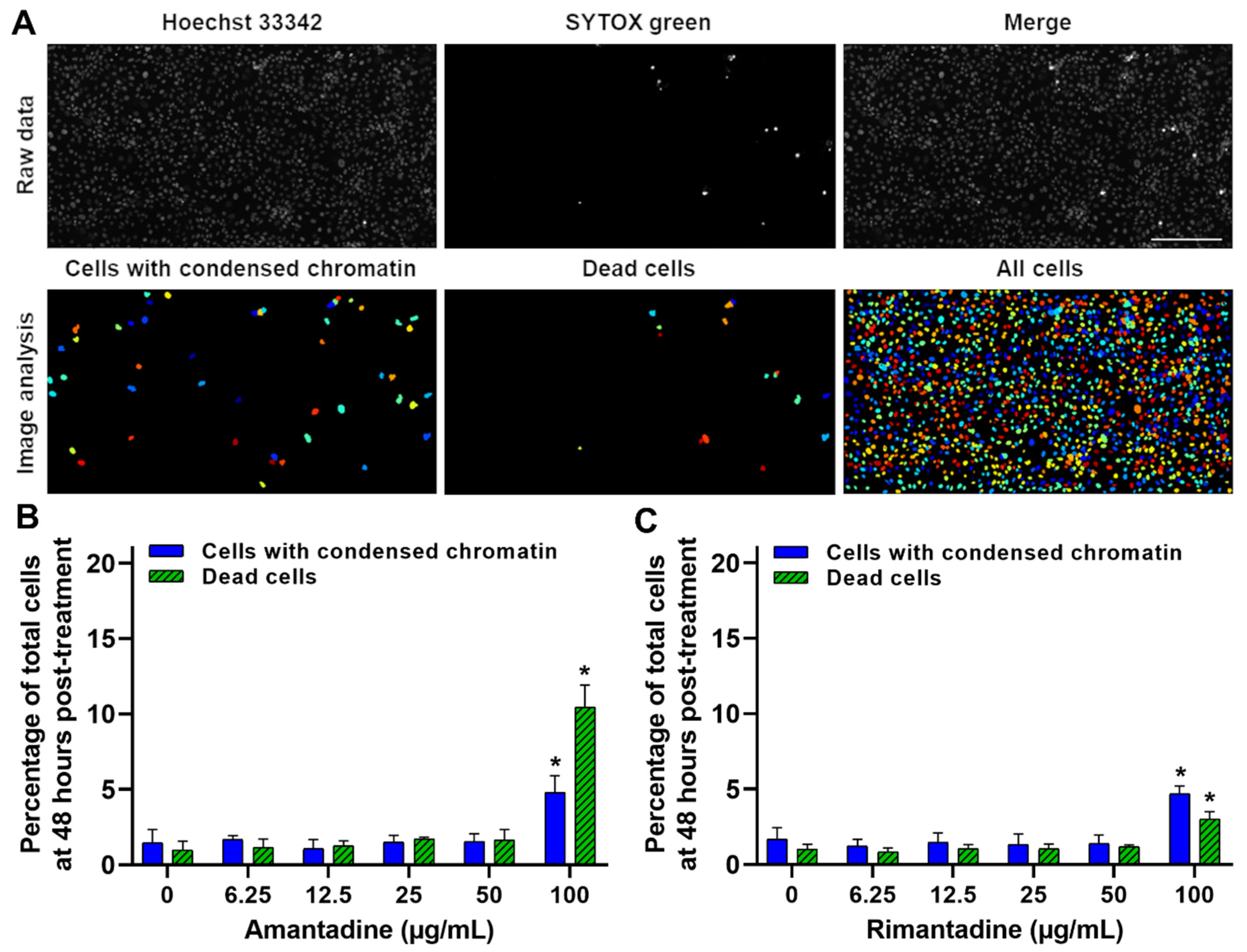 Microbiolres 12 00052 g003