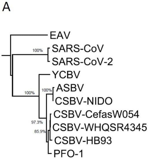 Microbiolres 12 00055 g003a 550