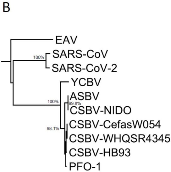 Microbiolres 12 00055 g003b 550