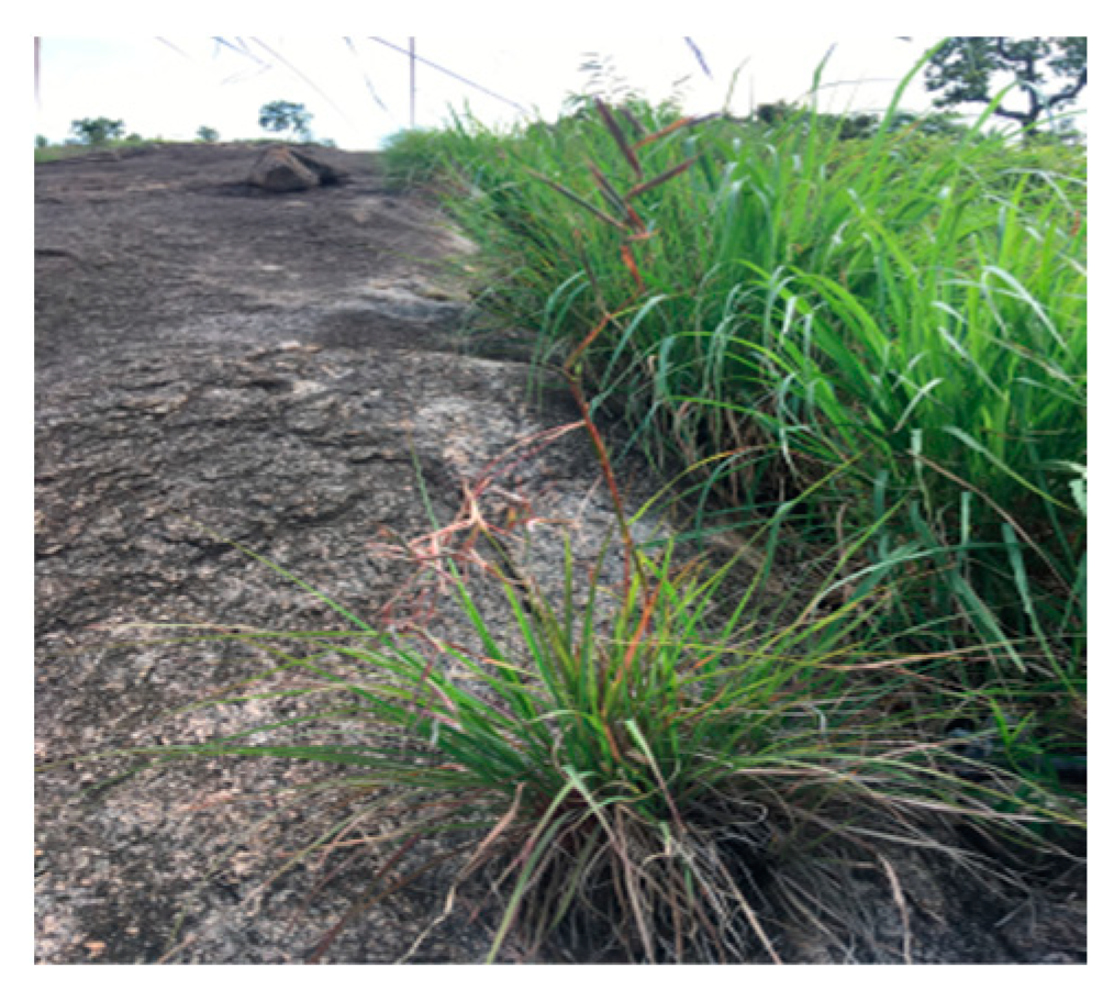 Microbiolres 12 00059 g001