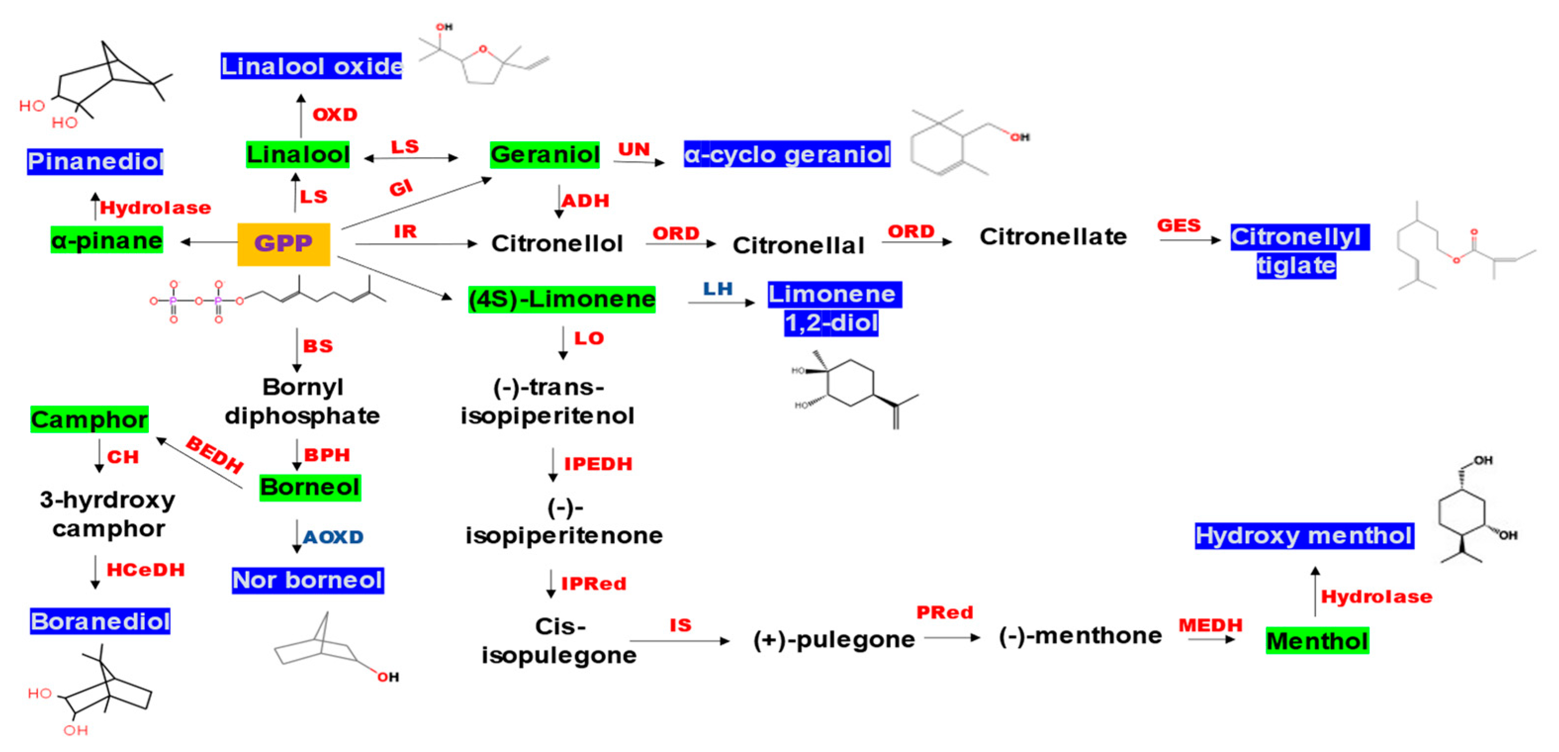 Microbiolres 12 00059 g005